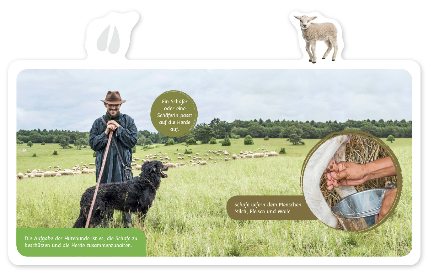 9783946360377_innenansicht_03 9783946360377_innenansicht_03.jpg