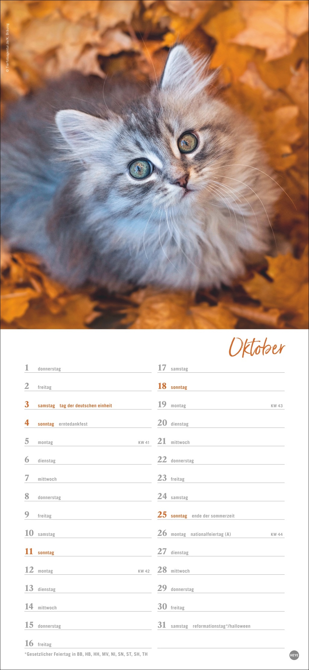 9783756409778_innenansicht_10 9783756409778_innenansicht_10.jpg