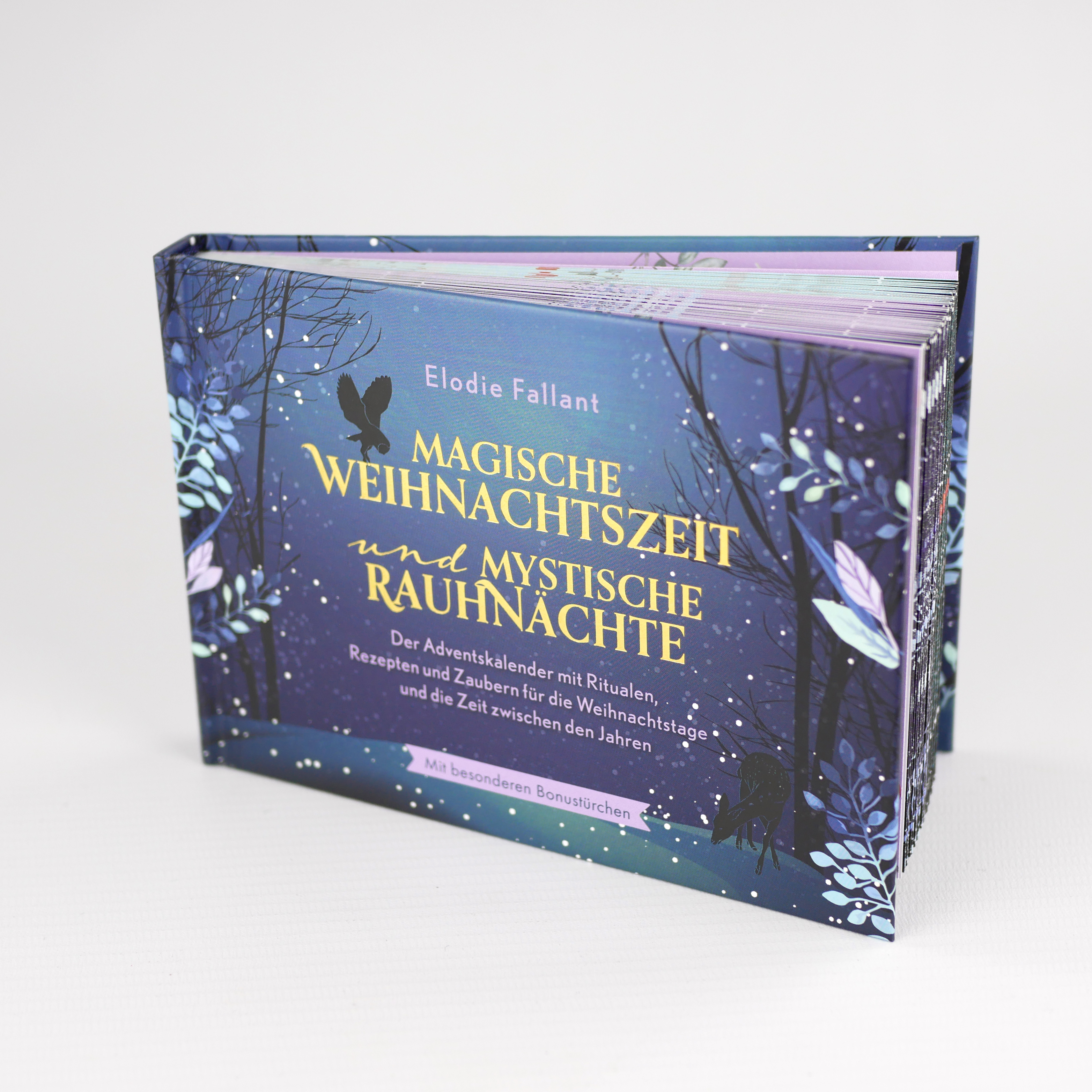 9783747405765_innenansicht_01.jpg