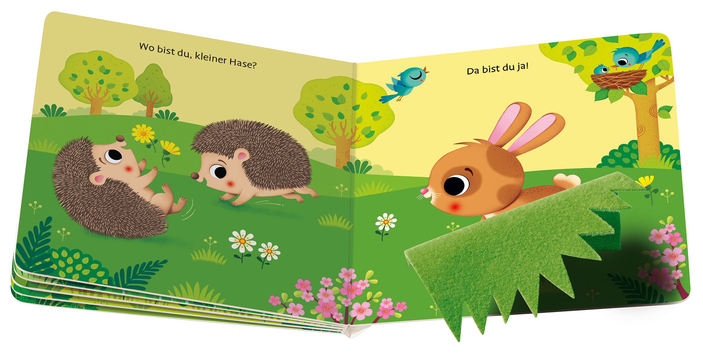9783473418398_innenansicht_02.jpg
