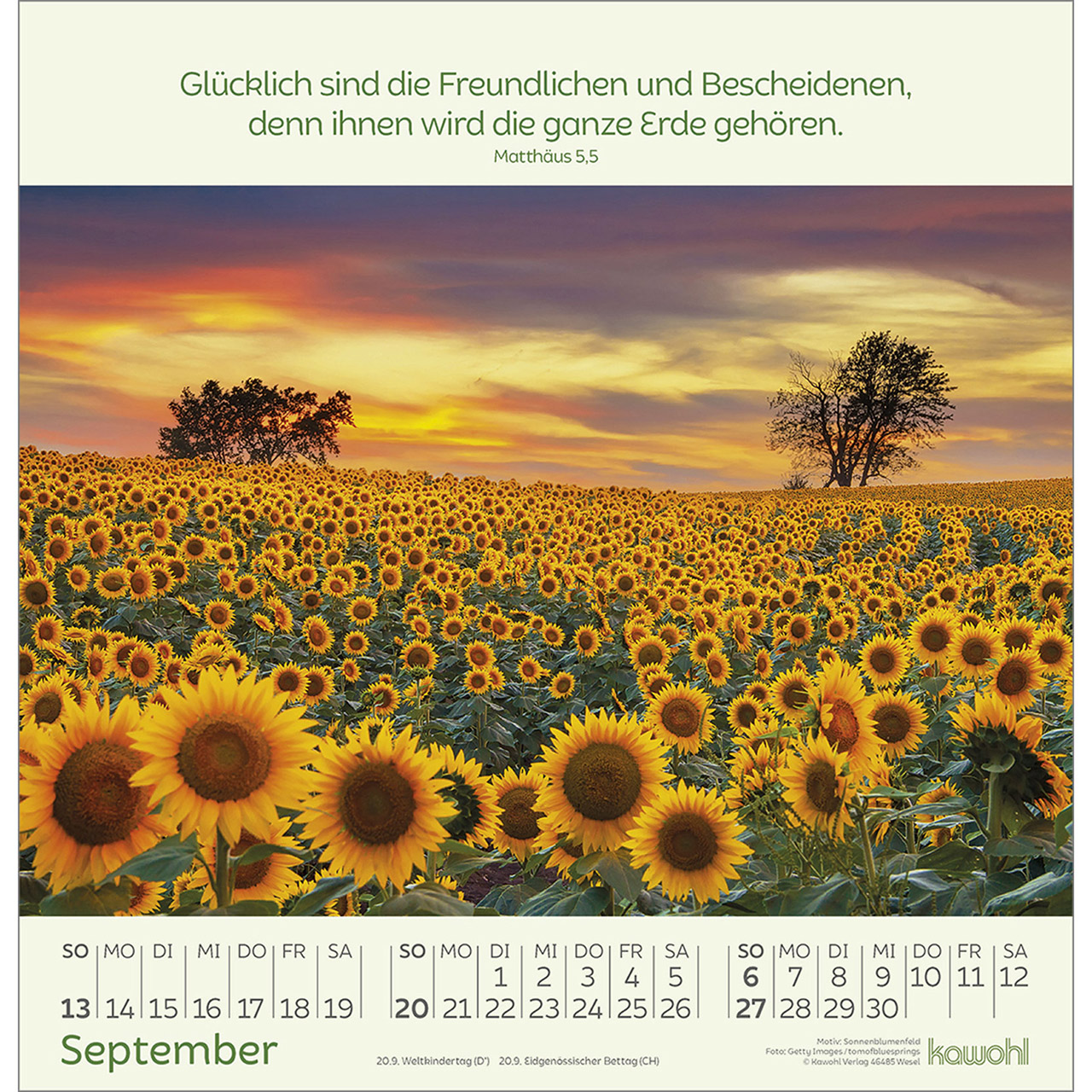 9783754826065_innenansicht_09.jpg