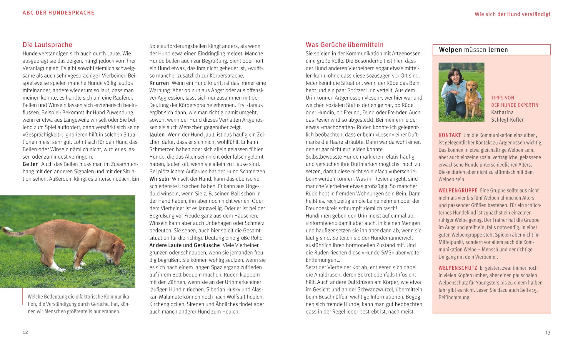 9783833841460_innenansicht_02 9783833841460_innenansicht_02.jpg