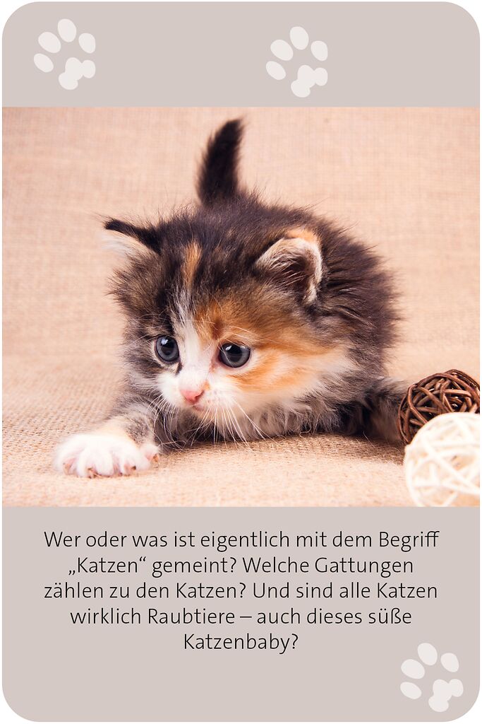 9783964553416_innenansicht_01.jpg
