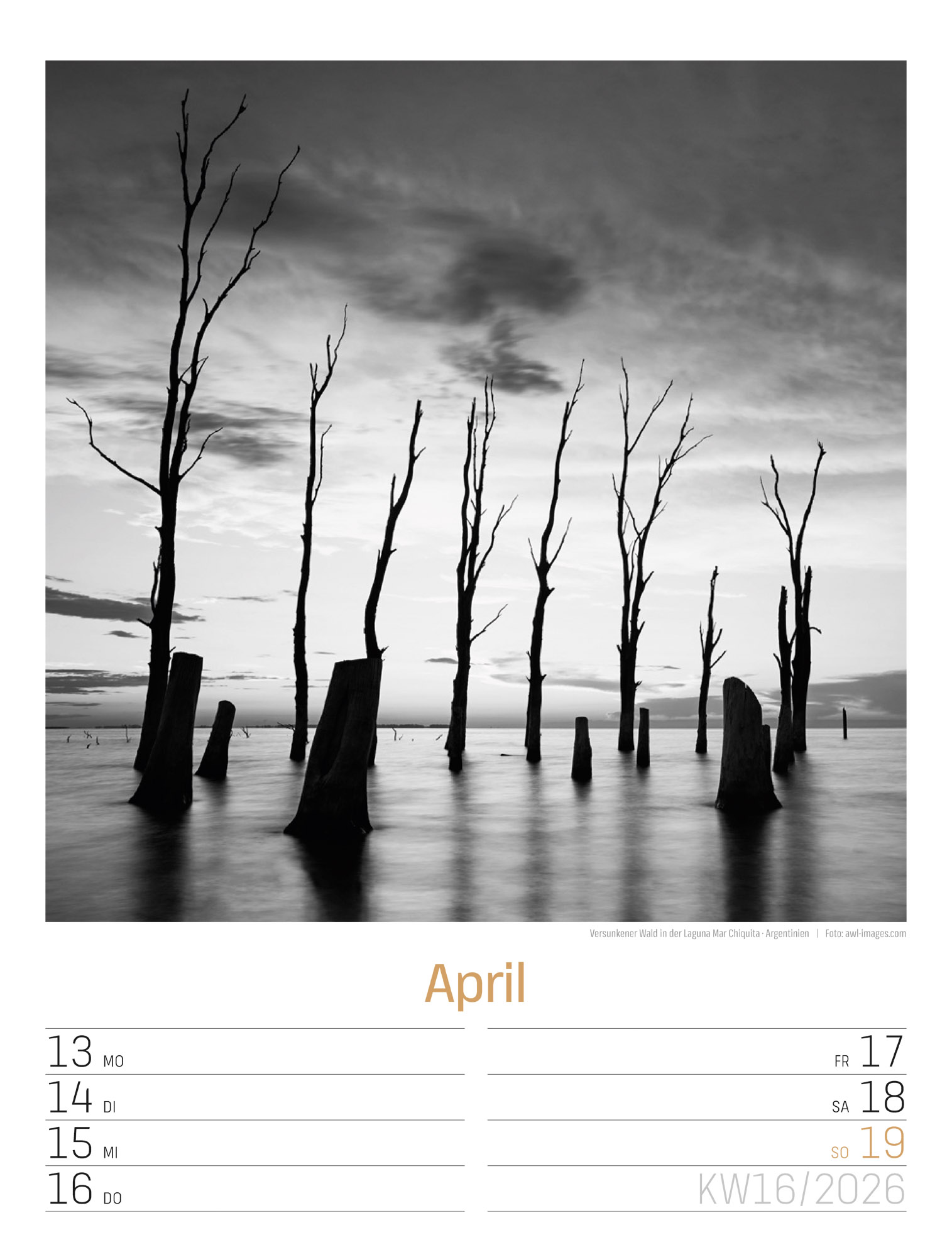 9783838436265_innenansicht_19 9783838436265_innenansicht_19.jpg