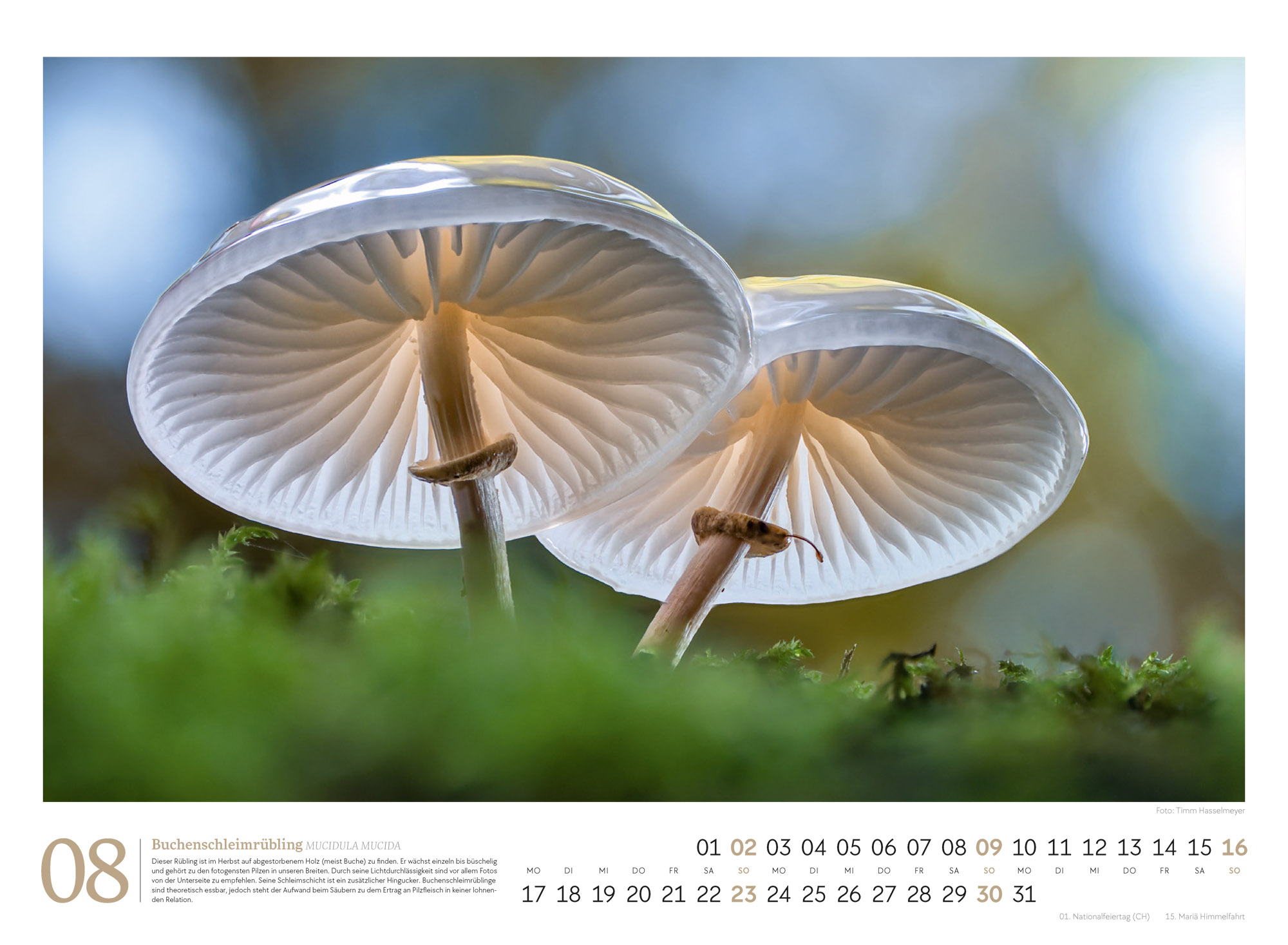 9783838436333_innenansicht_08 9783838436333_innenansicht_08.jpg