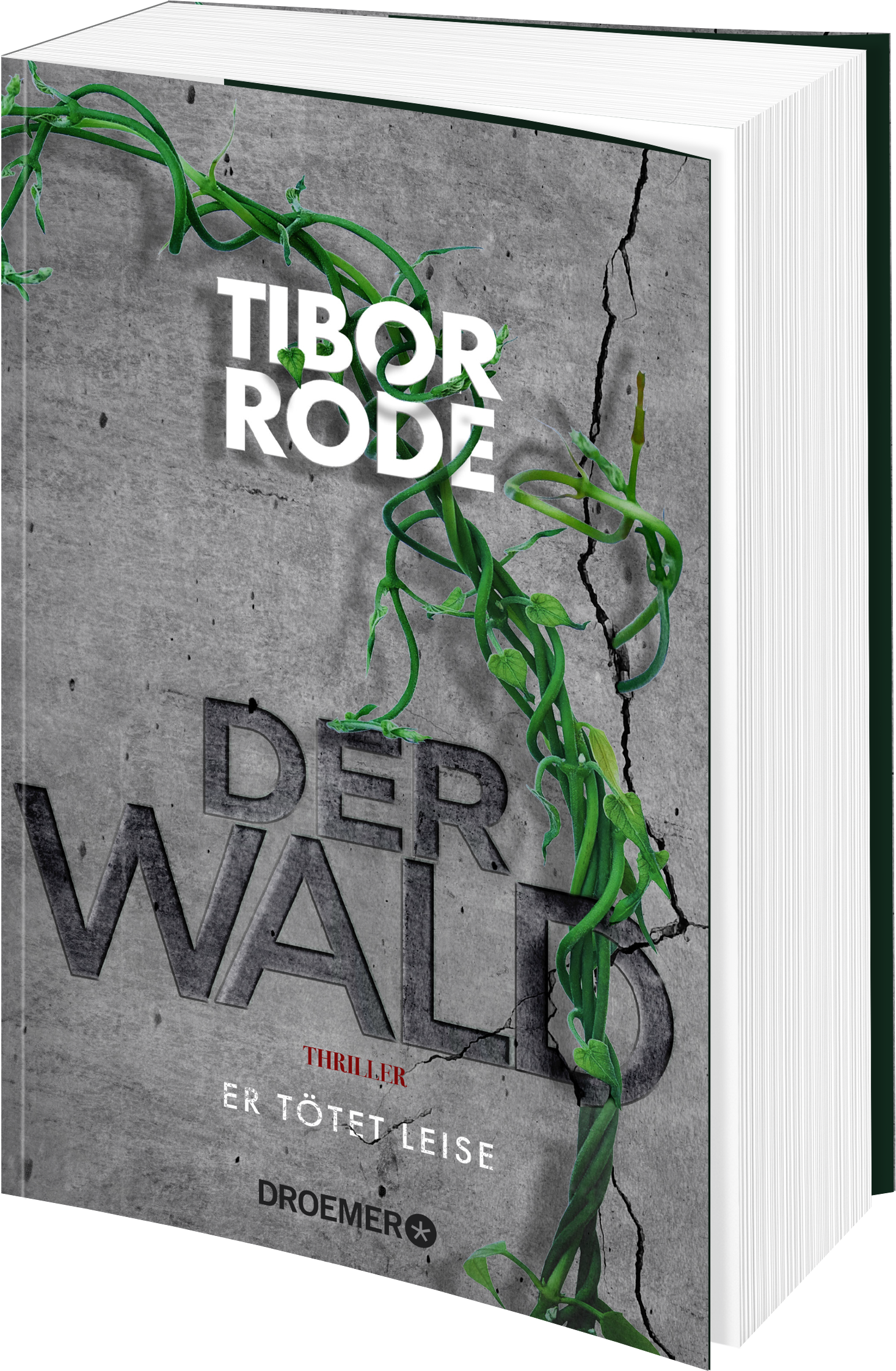 9783426284001_weiterecover_01 9783426284001_weiterecover_01.png