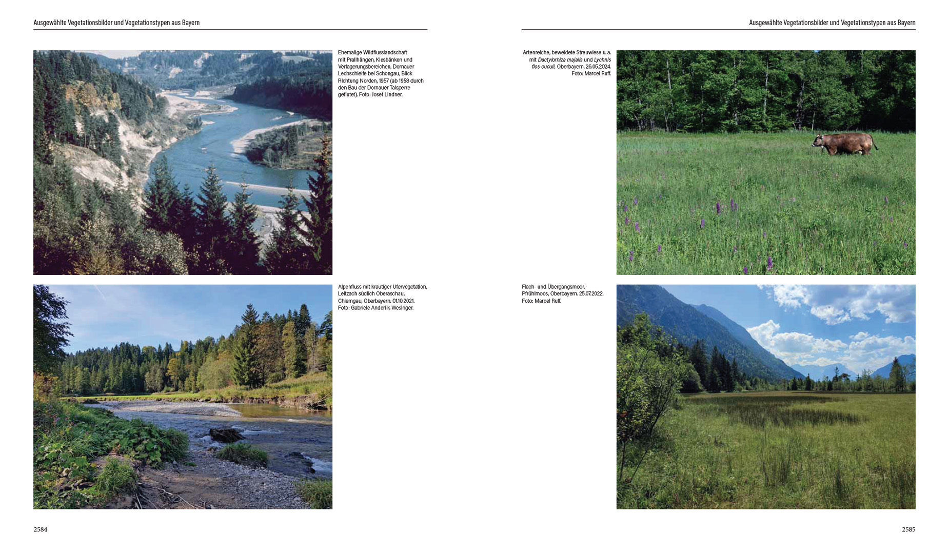 9783258083599_innenansicht_03 9783258083599_innenansicht_03.jpg