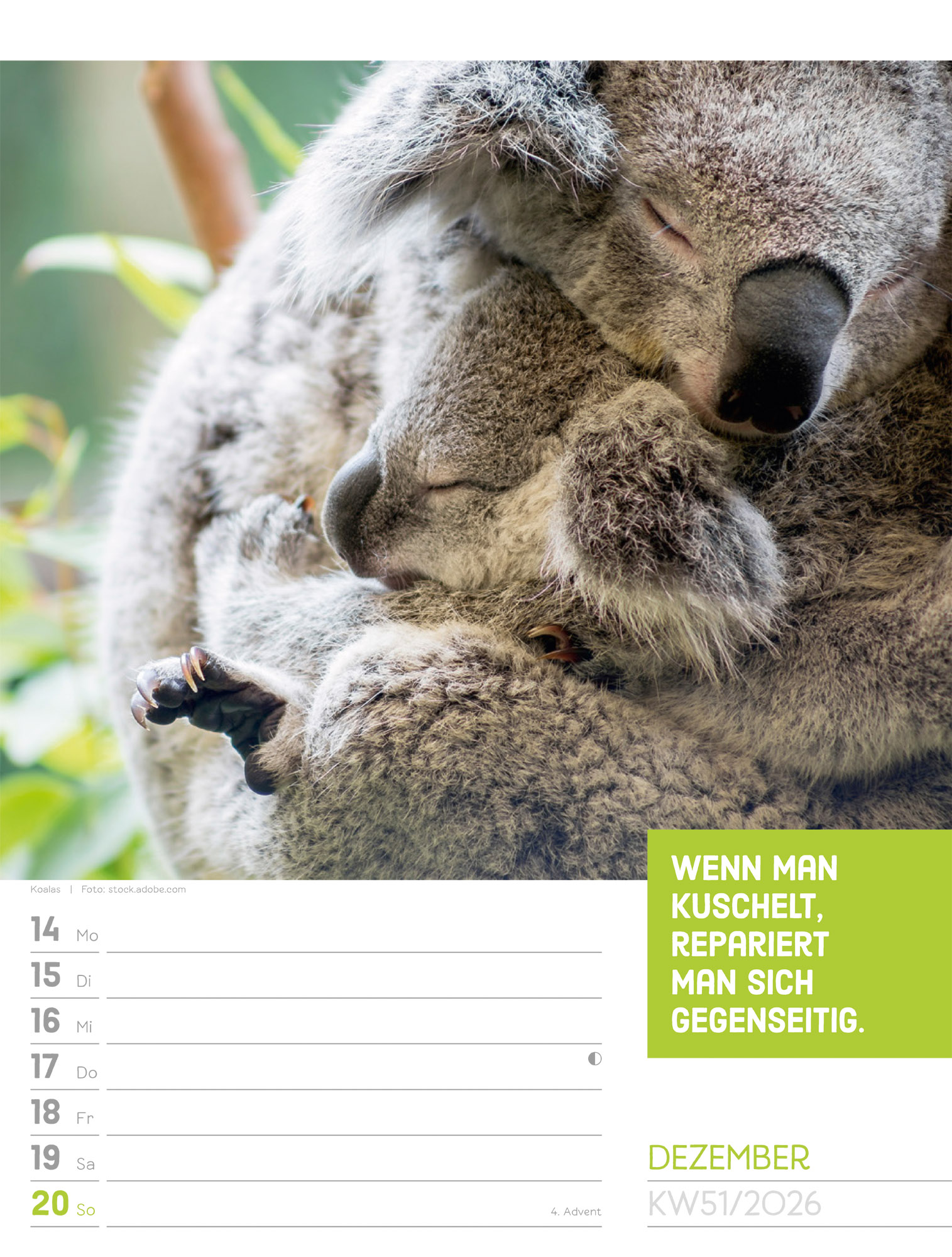 9783838426969_innenansicht_54.jpg