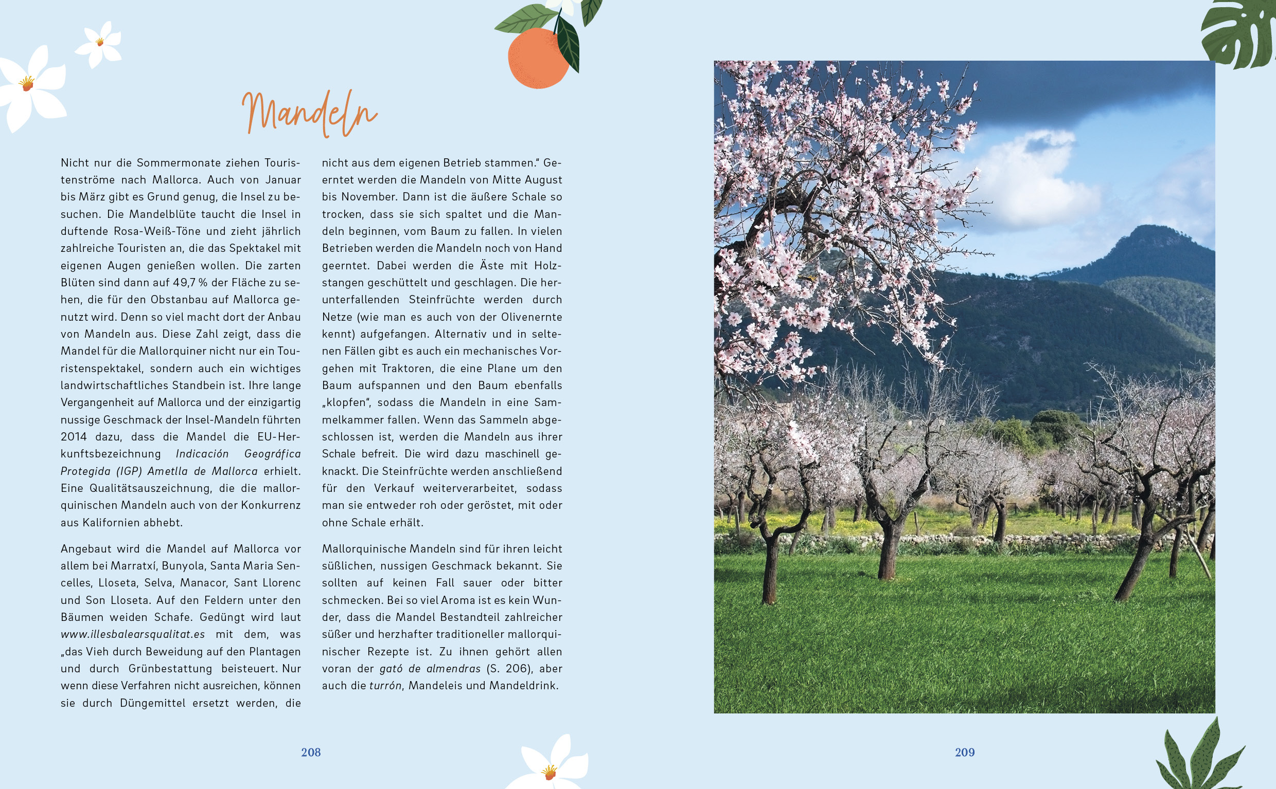 9783745921403_innenansicht_12 9783745921403_innenansicht_12.jpg