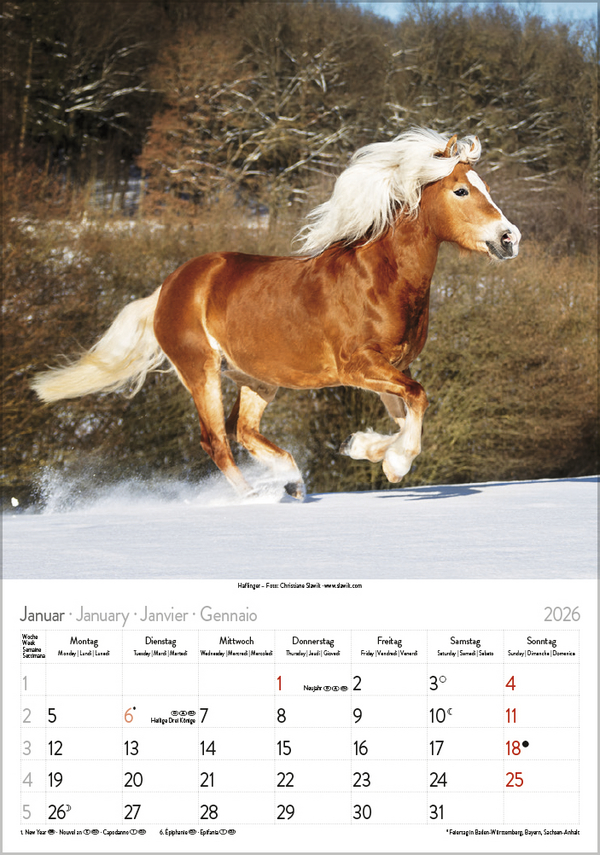 9783731883623_innenansicht_01 9783731883623_innenansicht_01.jpg