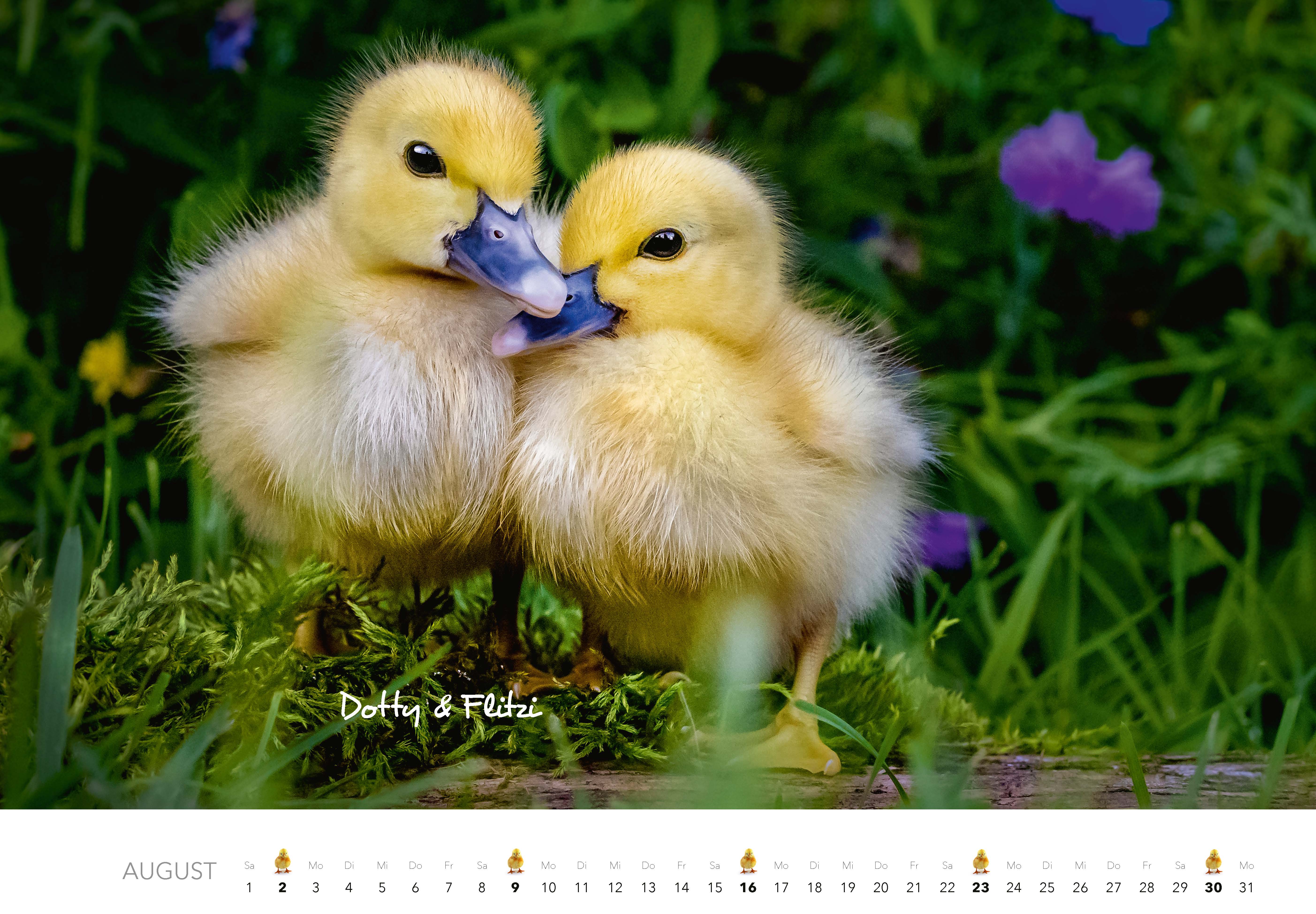 9783966649704_innenansicht_08 9783966649704_innenansicht_08.jpg