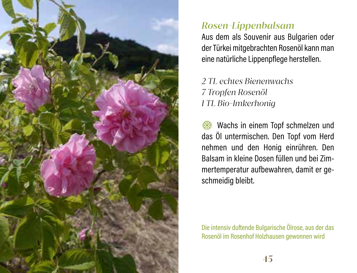 9783897986831_innenansicht_03.jpg