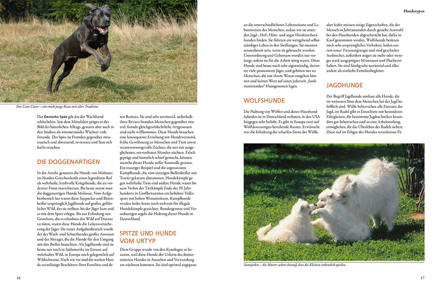 9783440176955_innenansicht_02 9783440176955_innenansicht_02.jpg