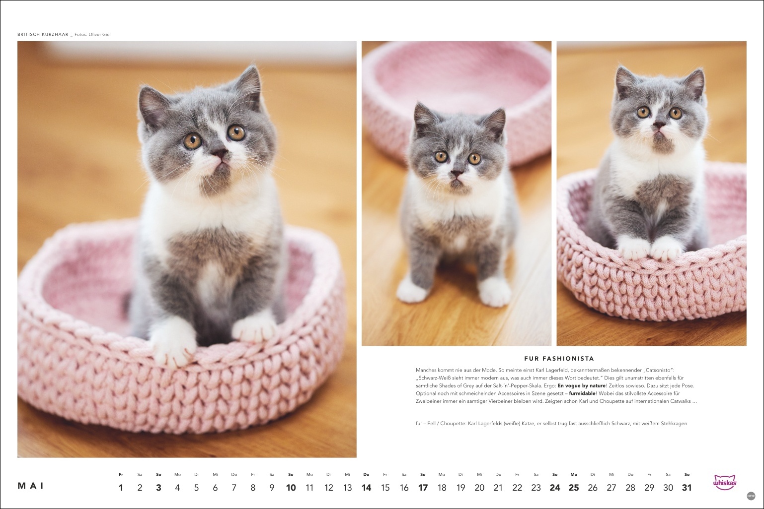 9783756413119_innenansicht_05 9783756413119_innenansicht_05.jpg