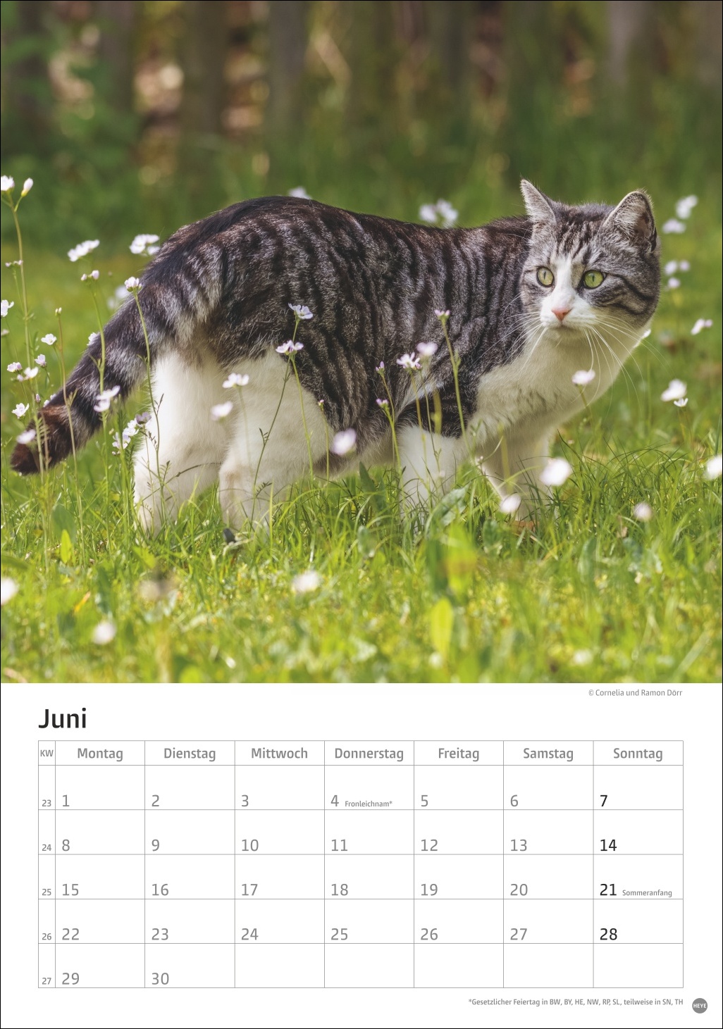 9783756411139_innenansicht_06 9783756411139_innenansicht_06.jpg