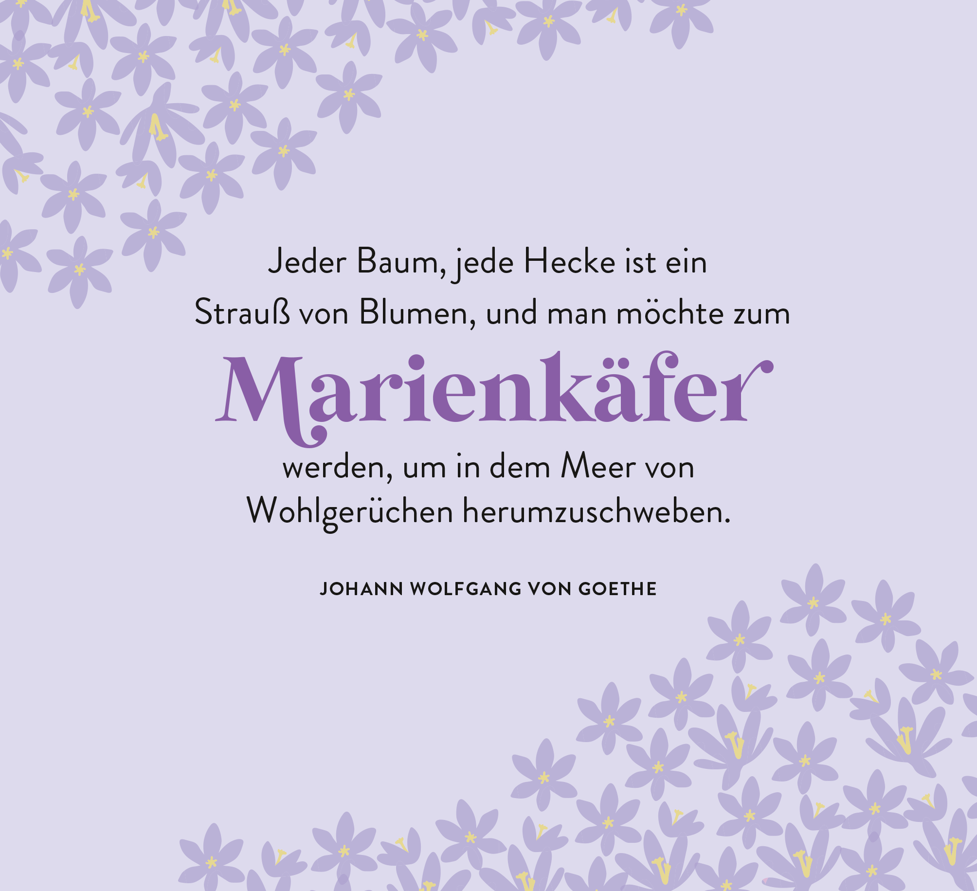 9783848501991_innenansicht_06.jpg