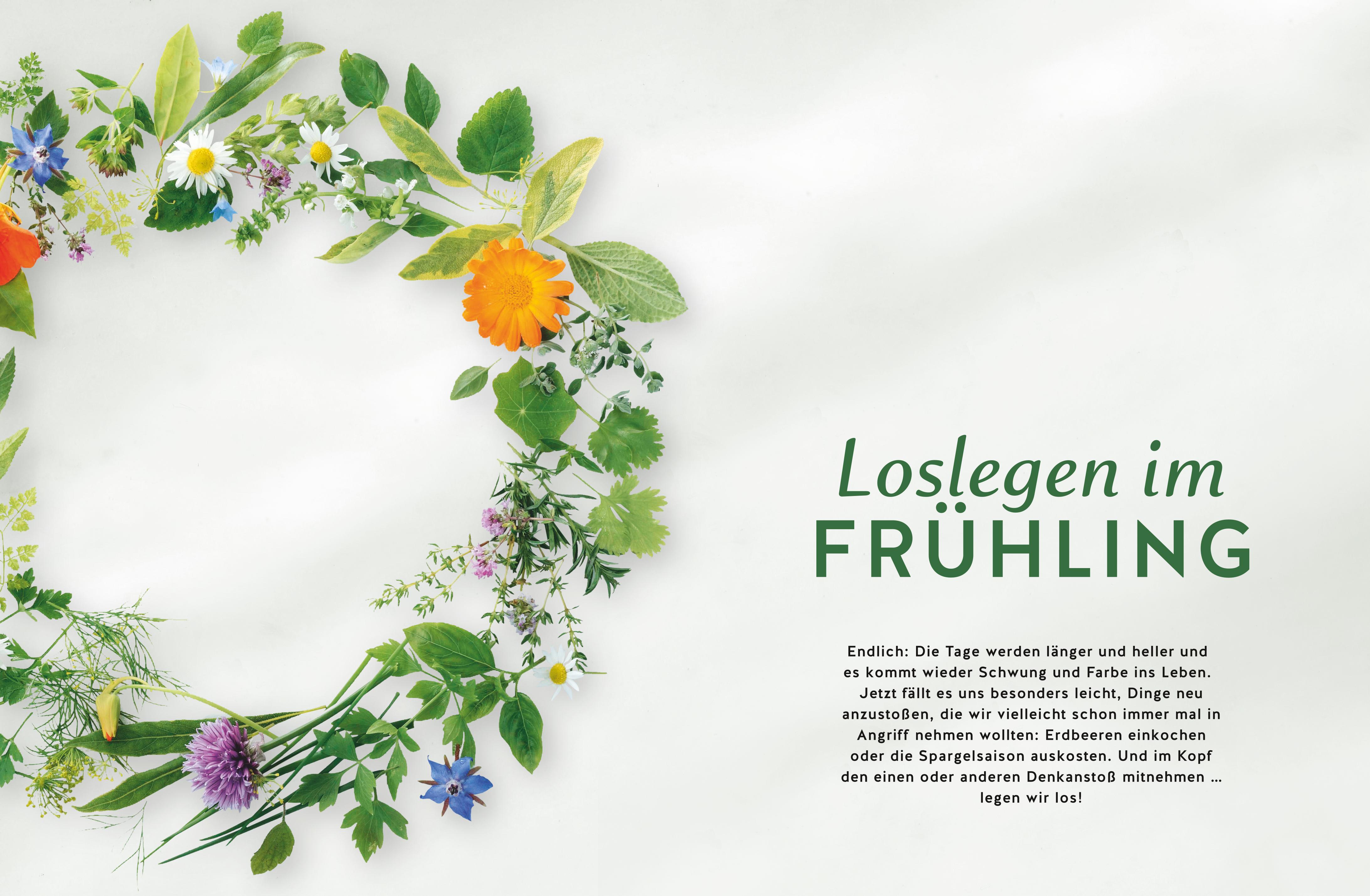 9783833893278_innenansicht_03 9783833893278_innenansicht_03.jpg