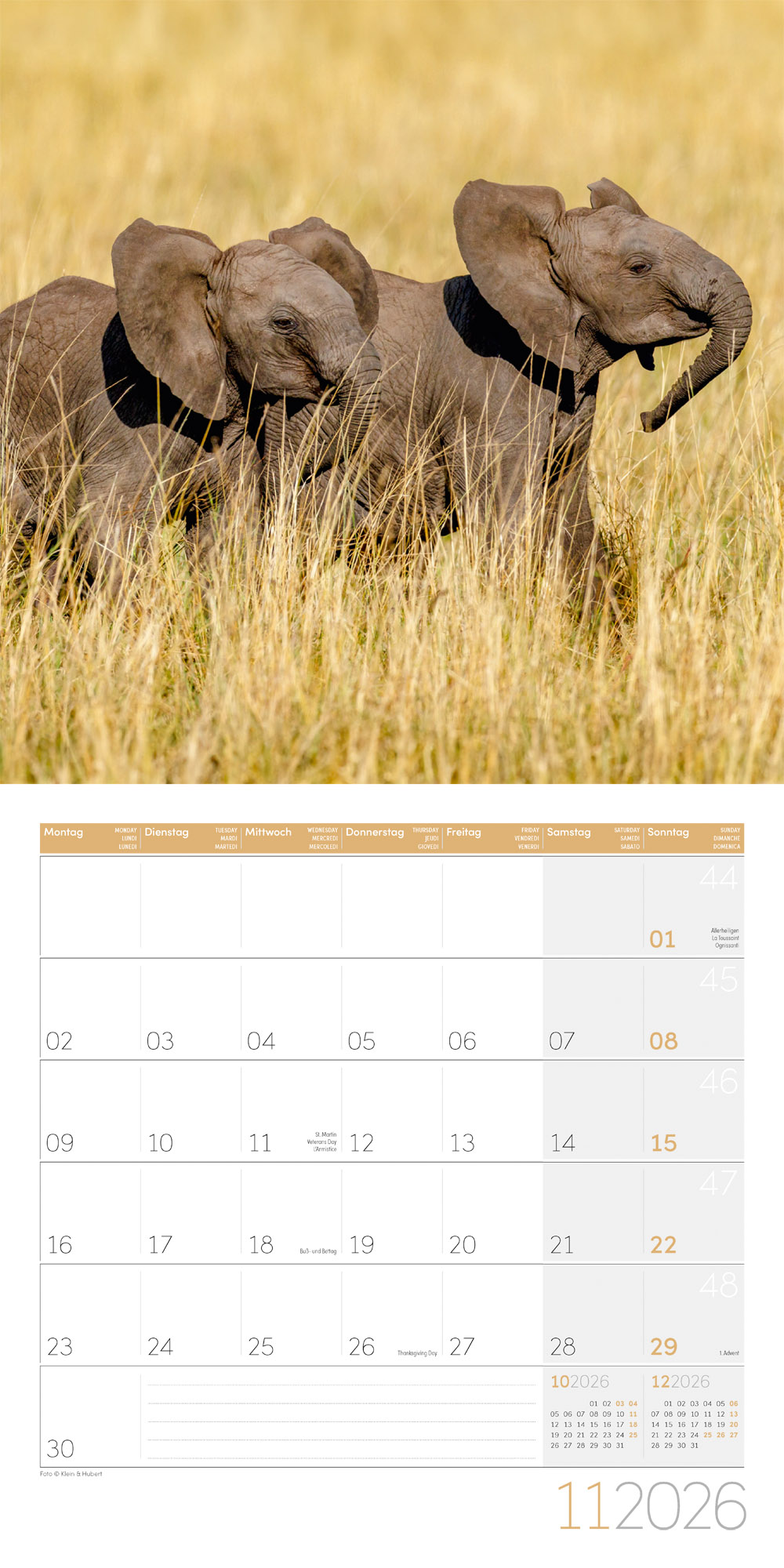 9783838446288_innenansicht_11 9783838446288_innenansicht_11.jpg