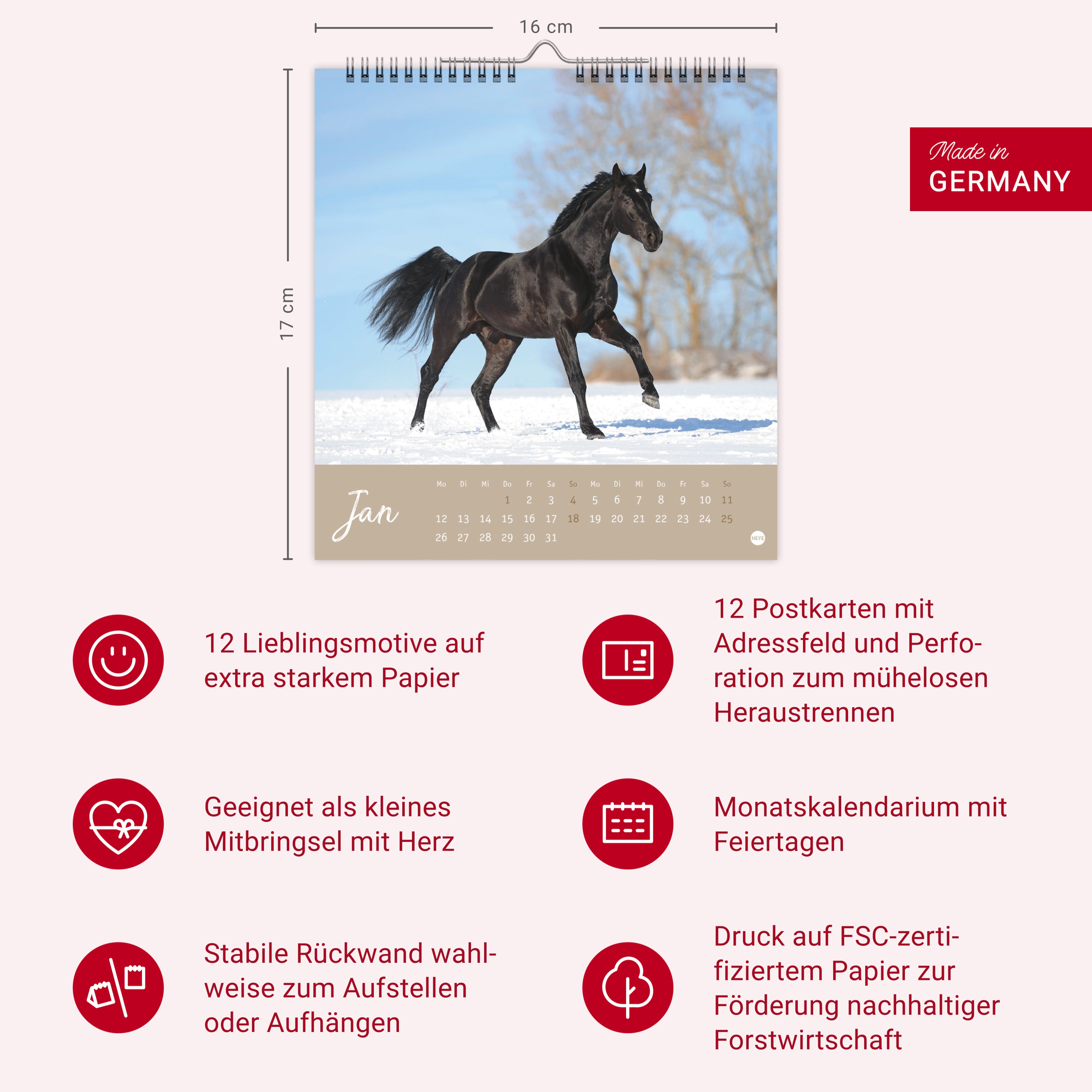 9783756410477_innenansicht_14.jpg