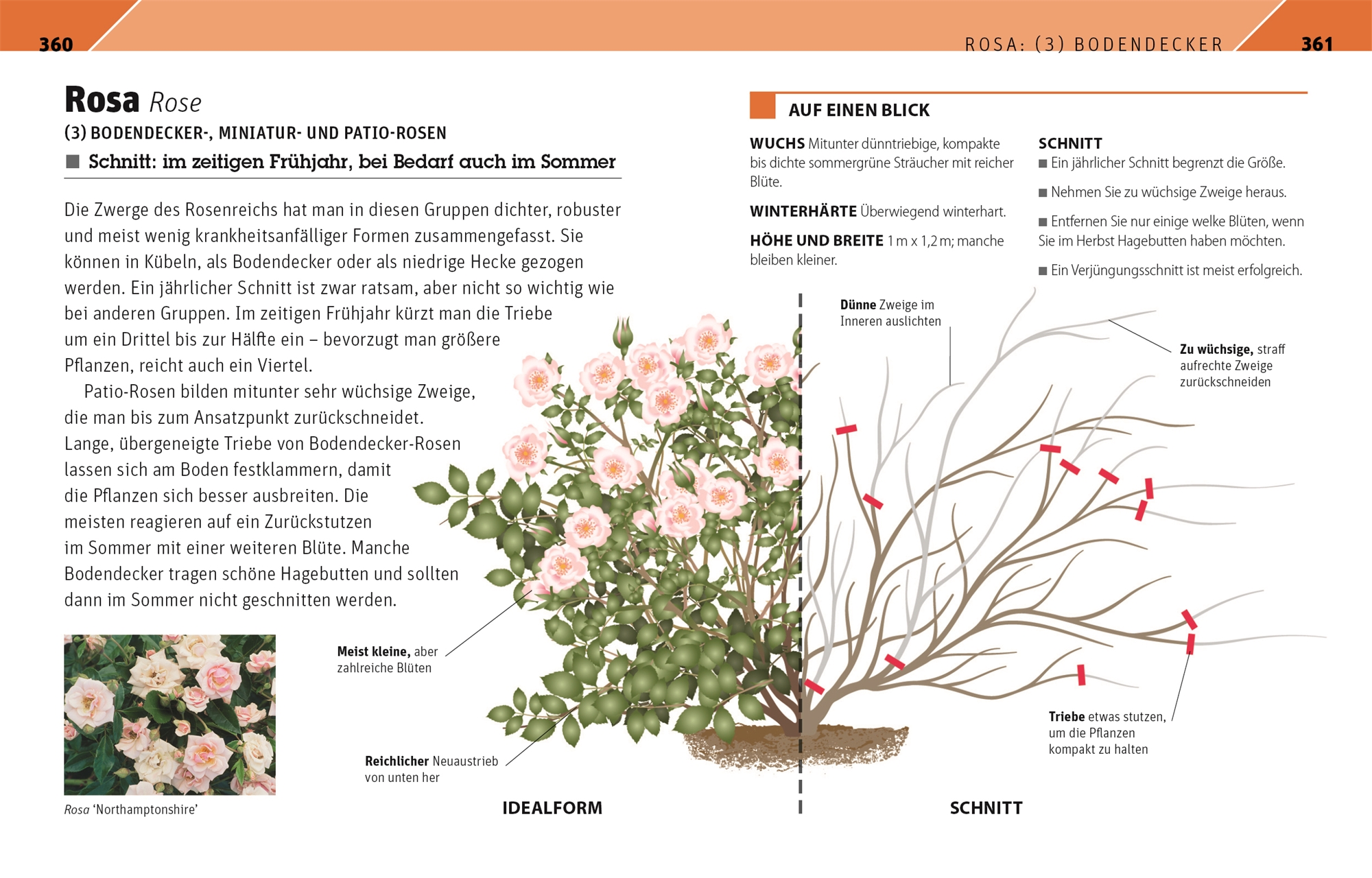 9783831042647_innenansicht_06 9783831042647_innenansicht_06.jpg