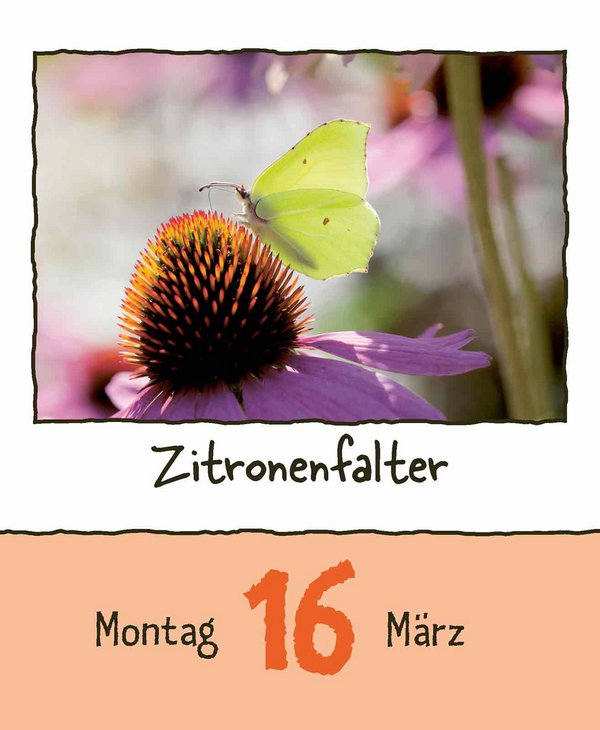 9783731889182_innenansicht_04.jpg
