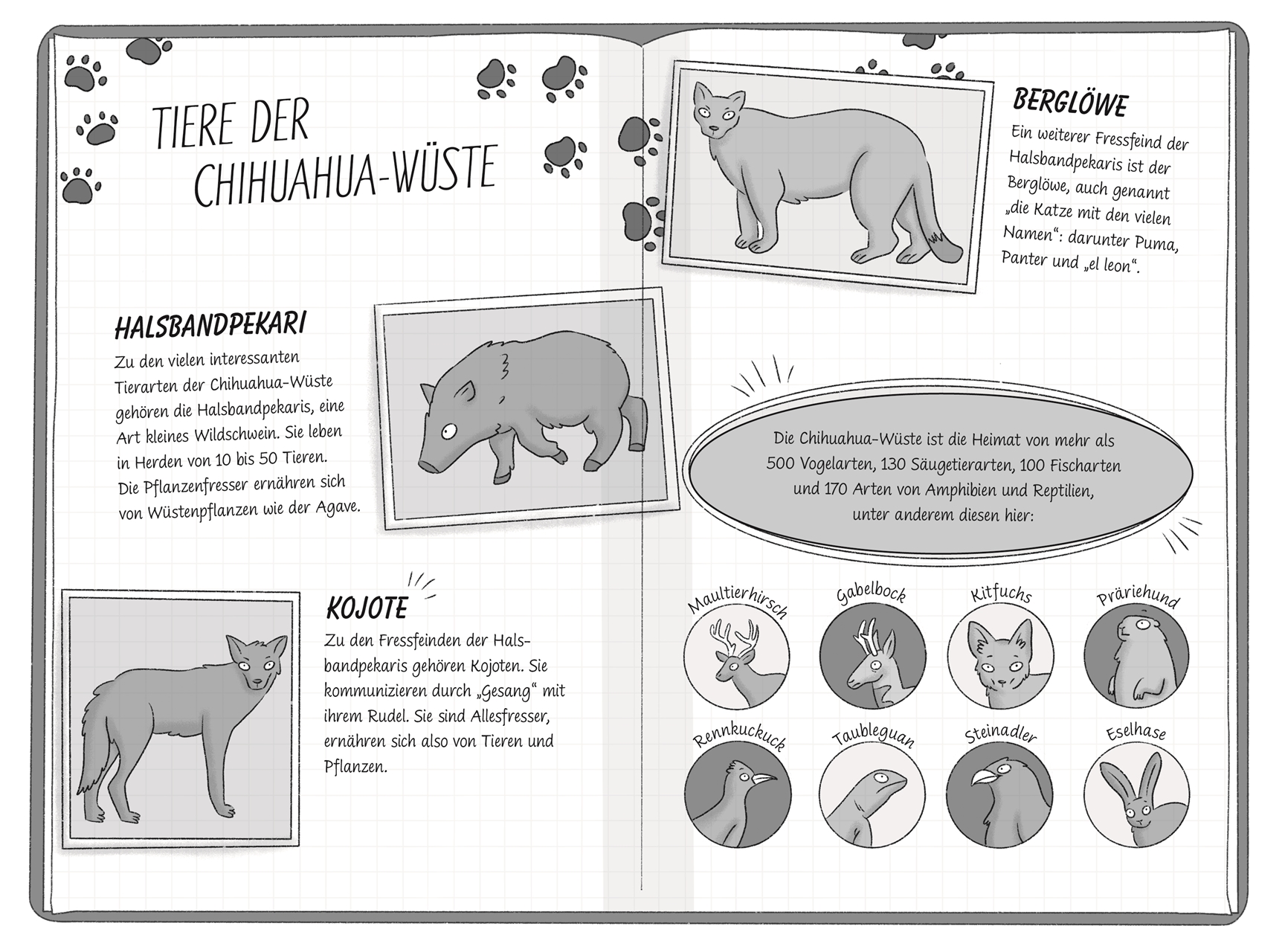 9783831051199_innenansicht_07 9783831051199_innenansicht_07.jpg