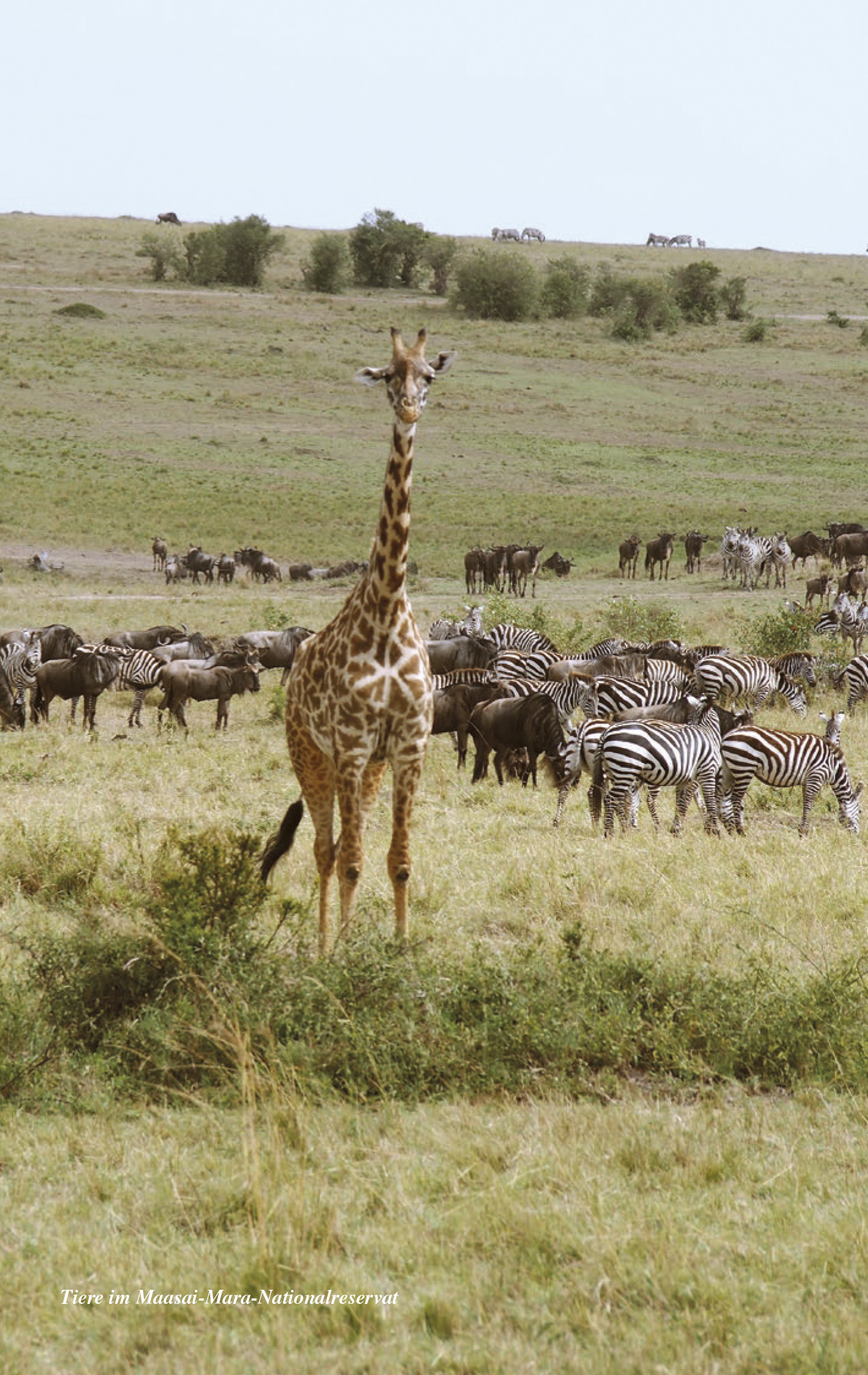 9783897946460_innenansicht_10 9783897946460_innenansicht_10.jpg