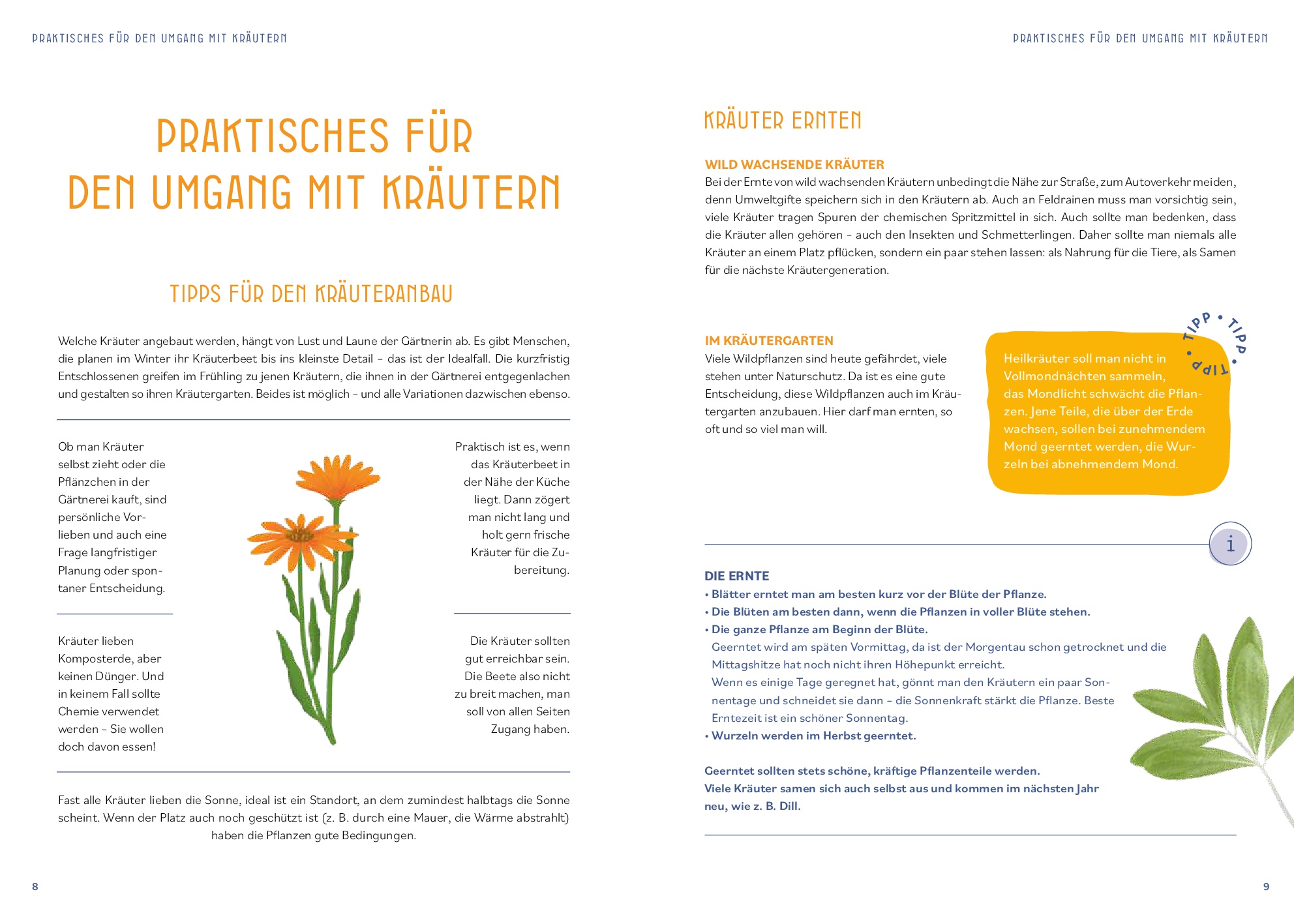 9783708808642_innenansicht_14 9783708808642_innenansicht_14.jpg