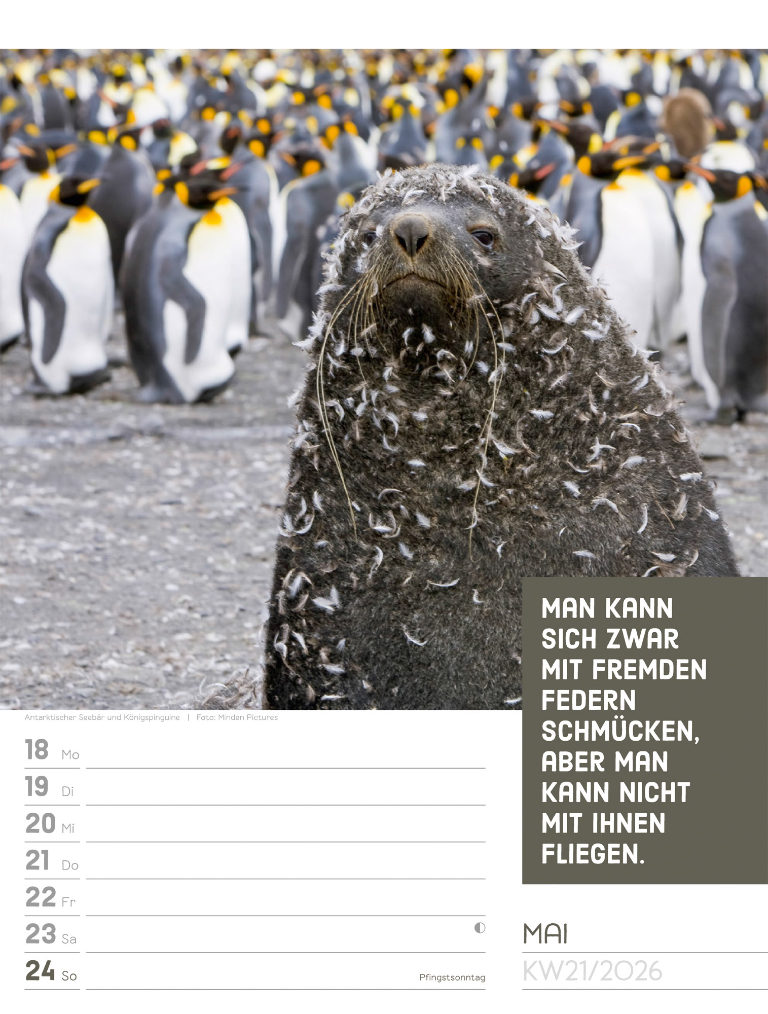 9783838426969_innenansicht_24.jpg