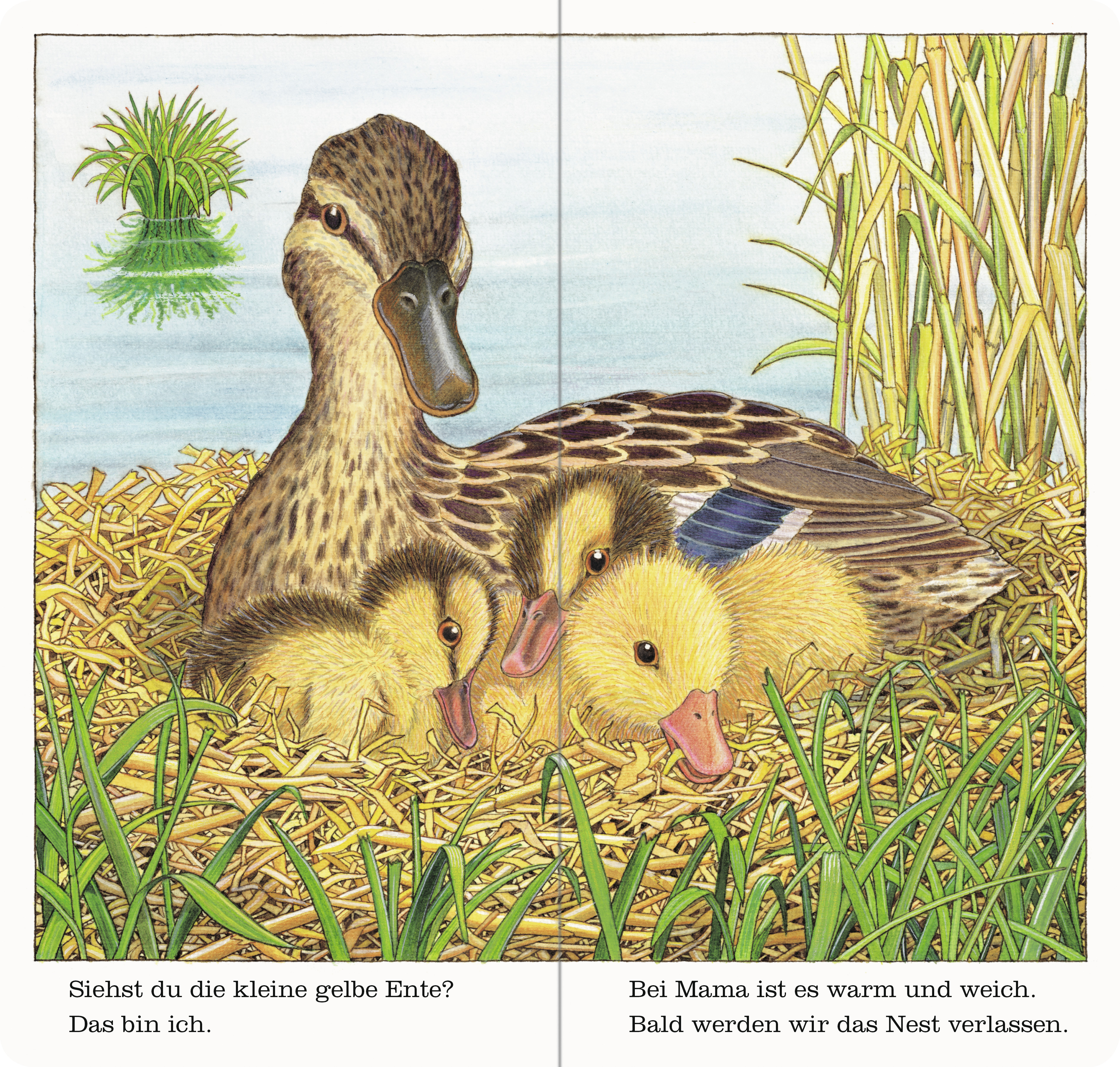 9783473435487_innenansicht_02 9783473435487_innenansicht_02.jpg