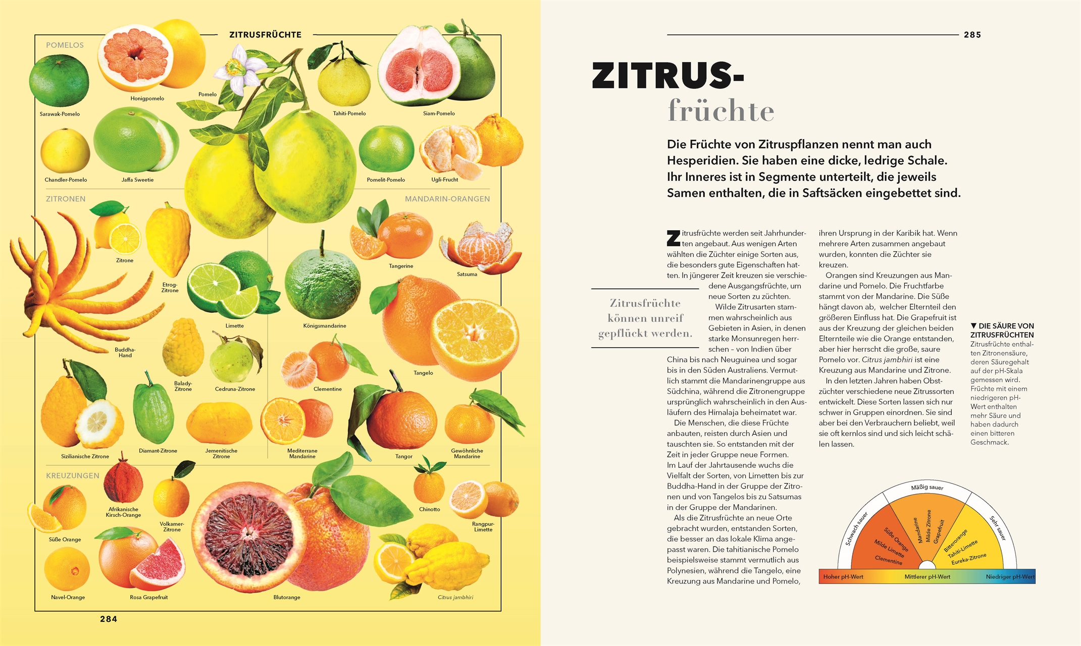 9783831050826_innenansicht_16 9783831050826_innenansicht_16.jpg