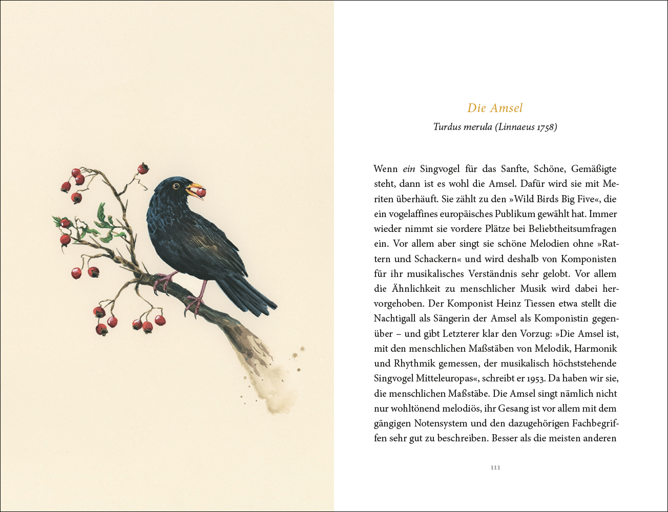 9783458195481_innenansicht_04 9783458195481_innenansicht_04.jpg