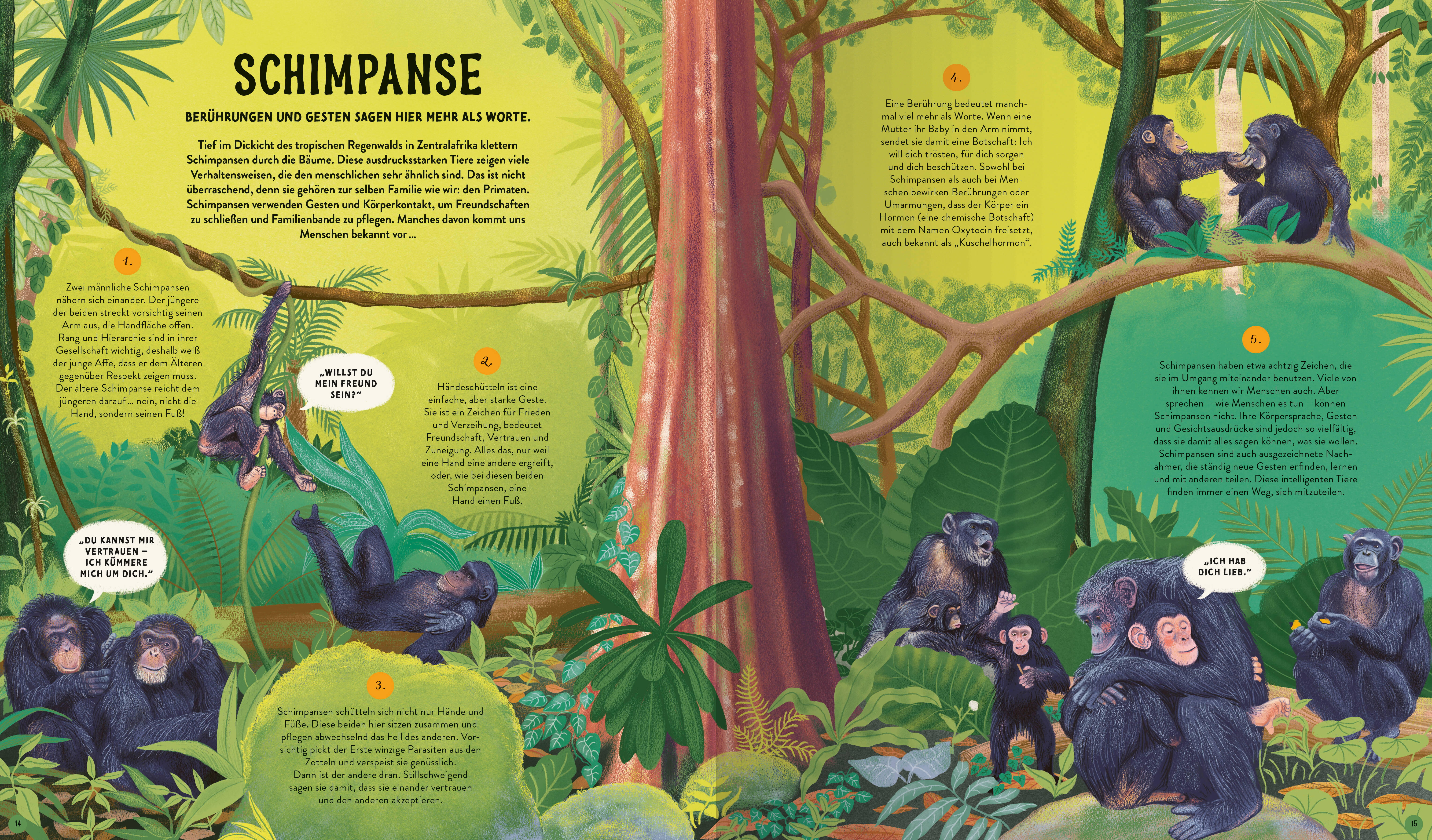 9783473480869_innenansicht_01 9783473480869_innenansicht_01.jpg