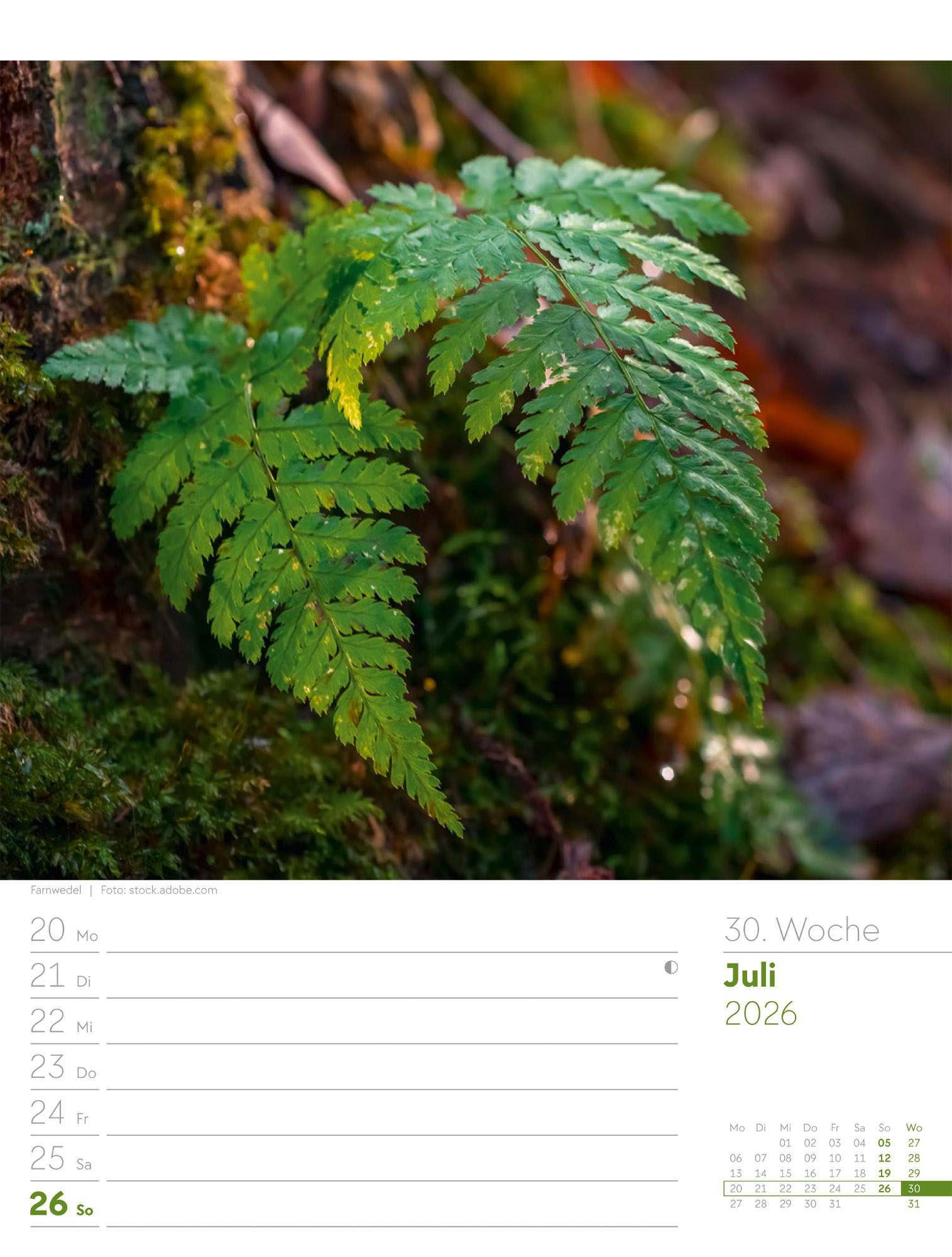 9783838426976_innenansicht_33 9783838426976_innenansicht_33.jpg