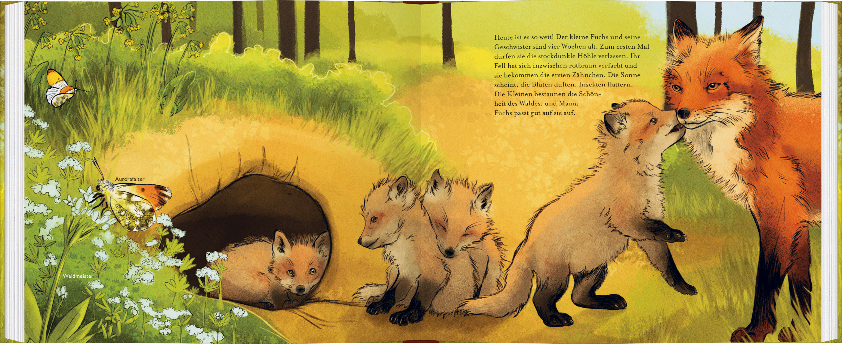 9783836963572_innenansicht_02 9783836963572_innenansicht_02.jpg