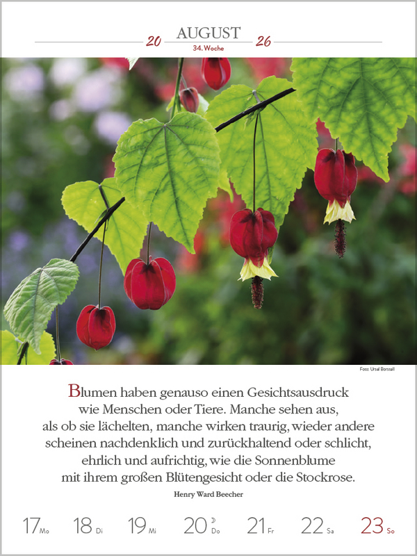 9783731887577_innenansicht_10.jpg