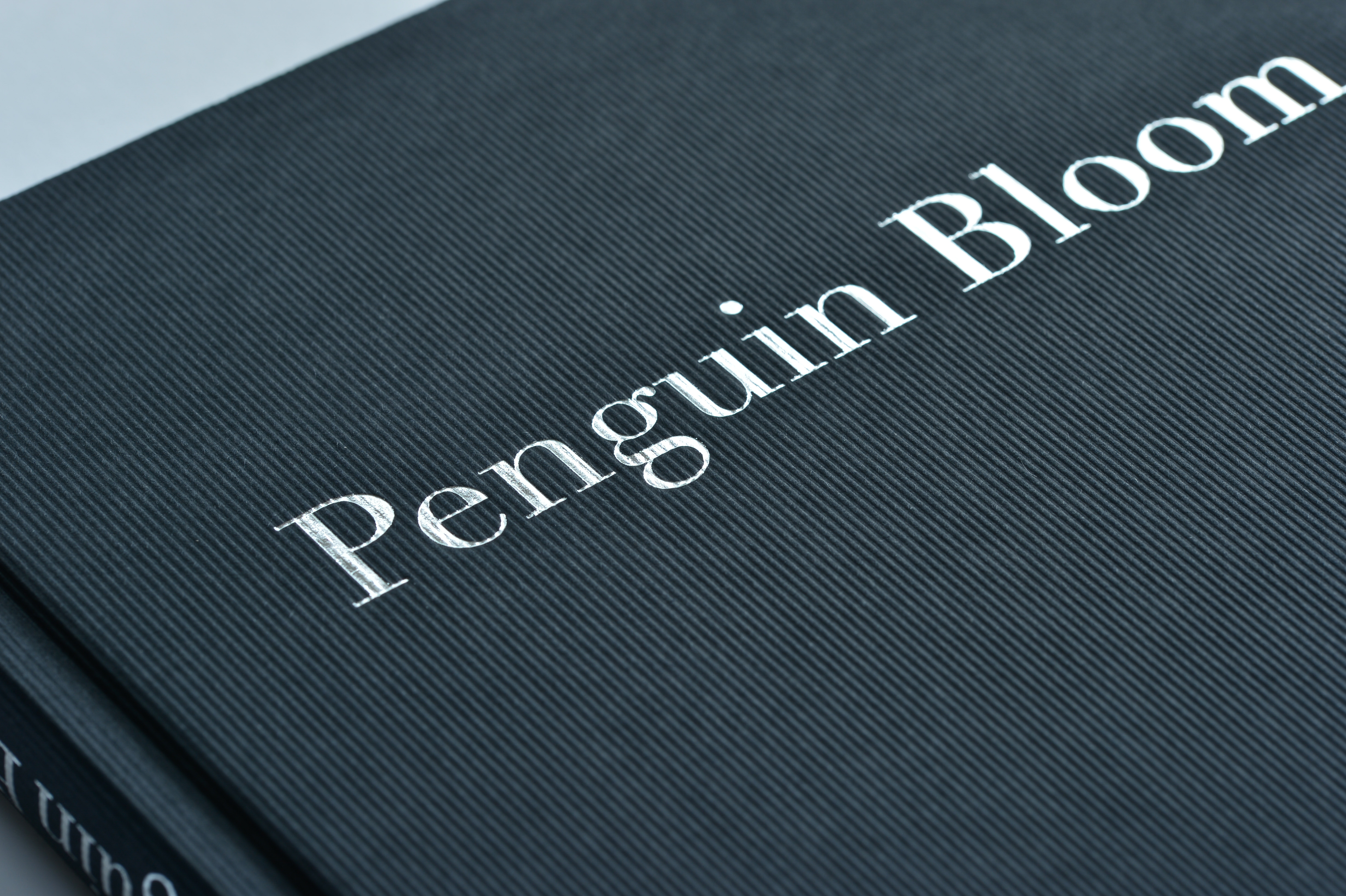 9783328602200_innenansicht_03.jpg 9783328602200_innenansicht_03.jpg