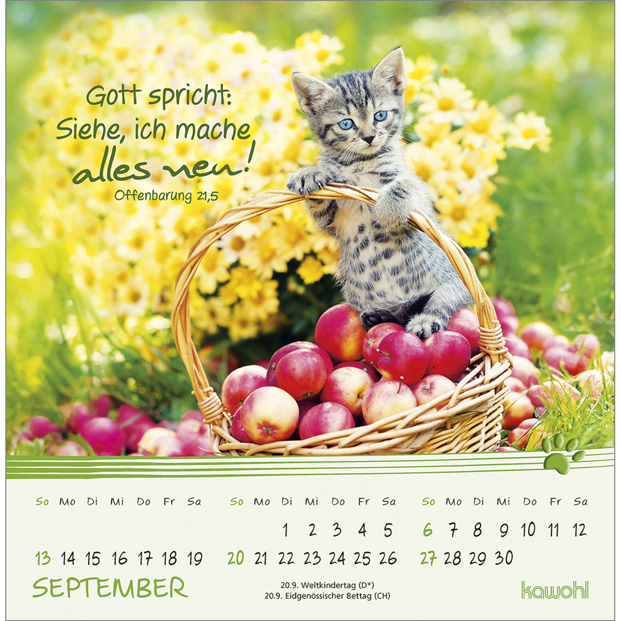 9783754816967_innenansicht_09.jpg