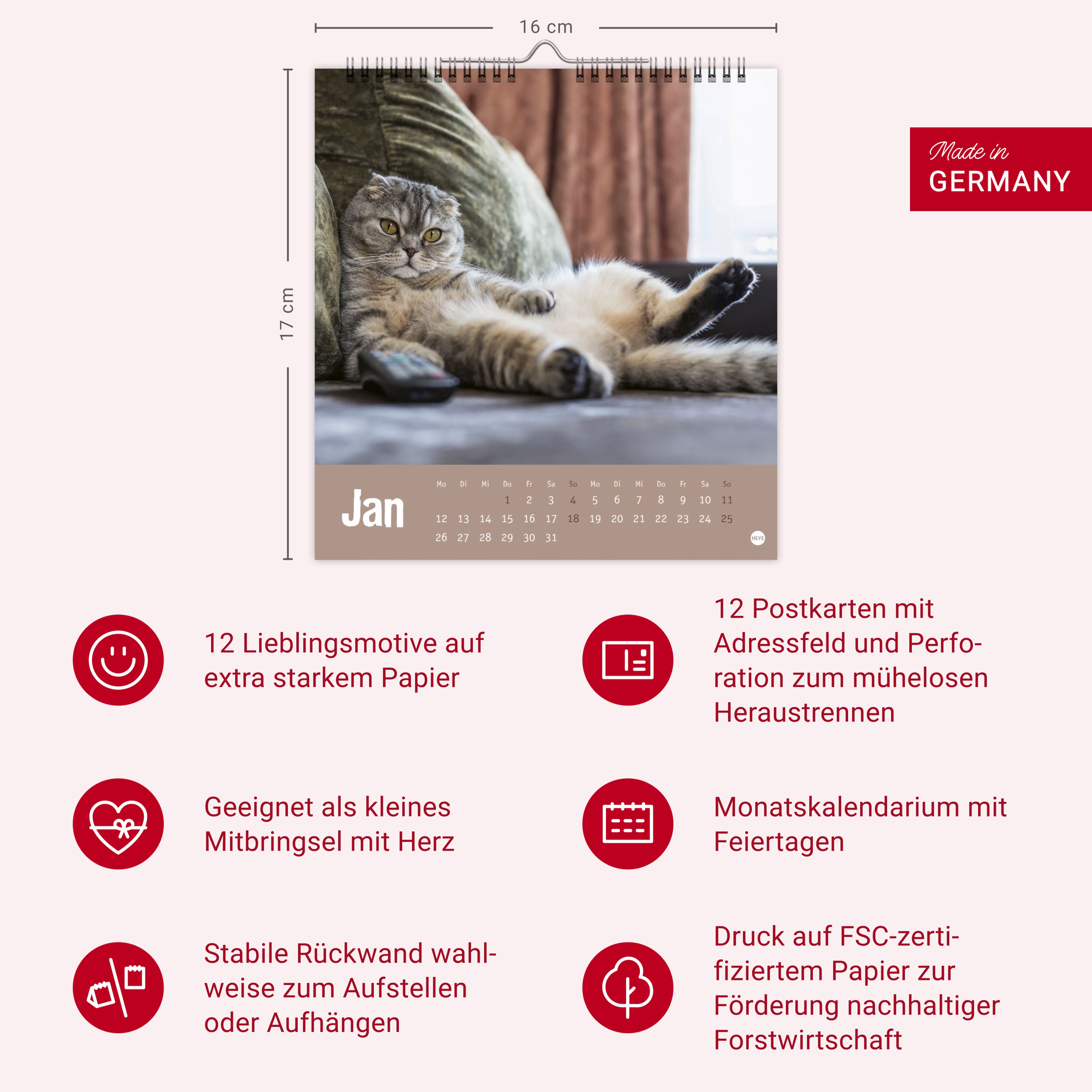 9783756411306_innenansicht_14.jpg