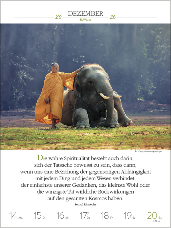 9783731884385_innenansicht_13.jpg