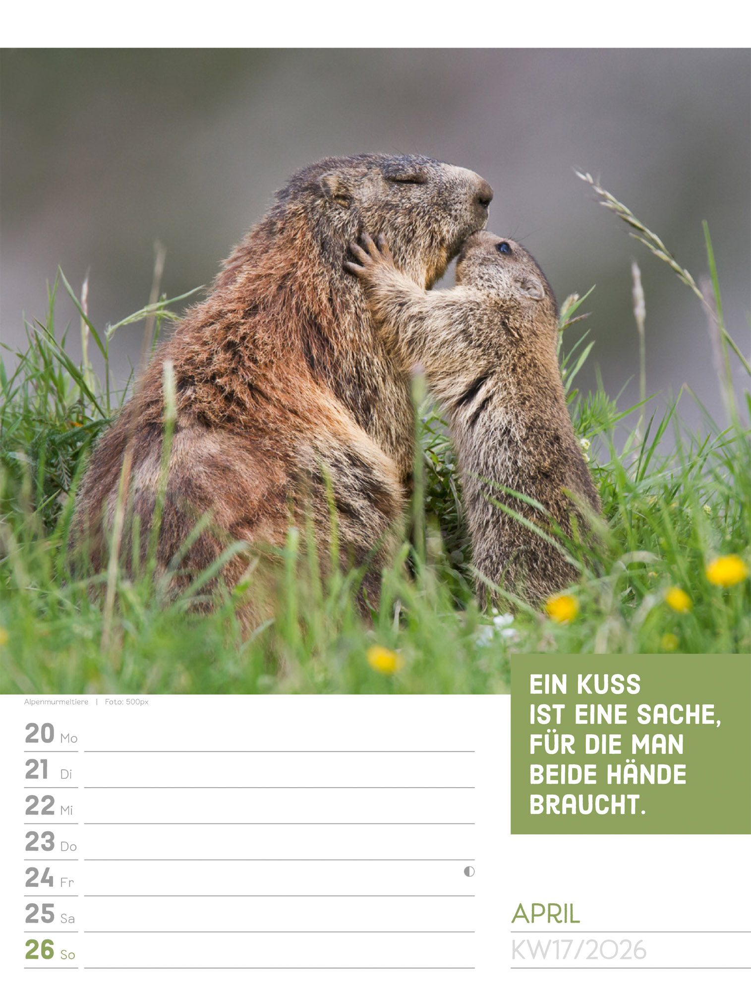 9783838426969_innenansicht_20.jpg