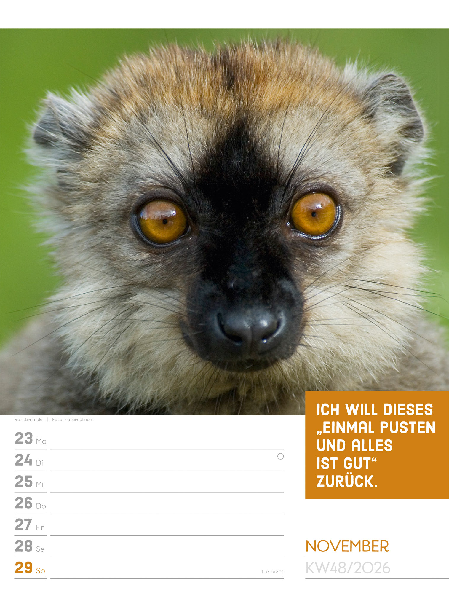 9783838426969_innenansicht_51 9783838426969_innenansicht_51.jpg