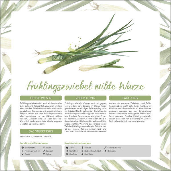 9783731886563_innenansicht_04.jpg