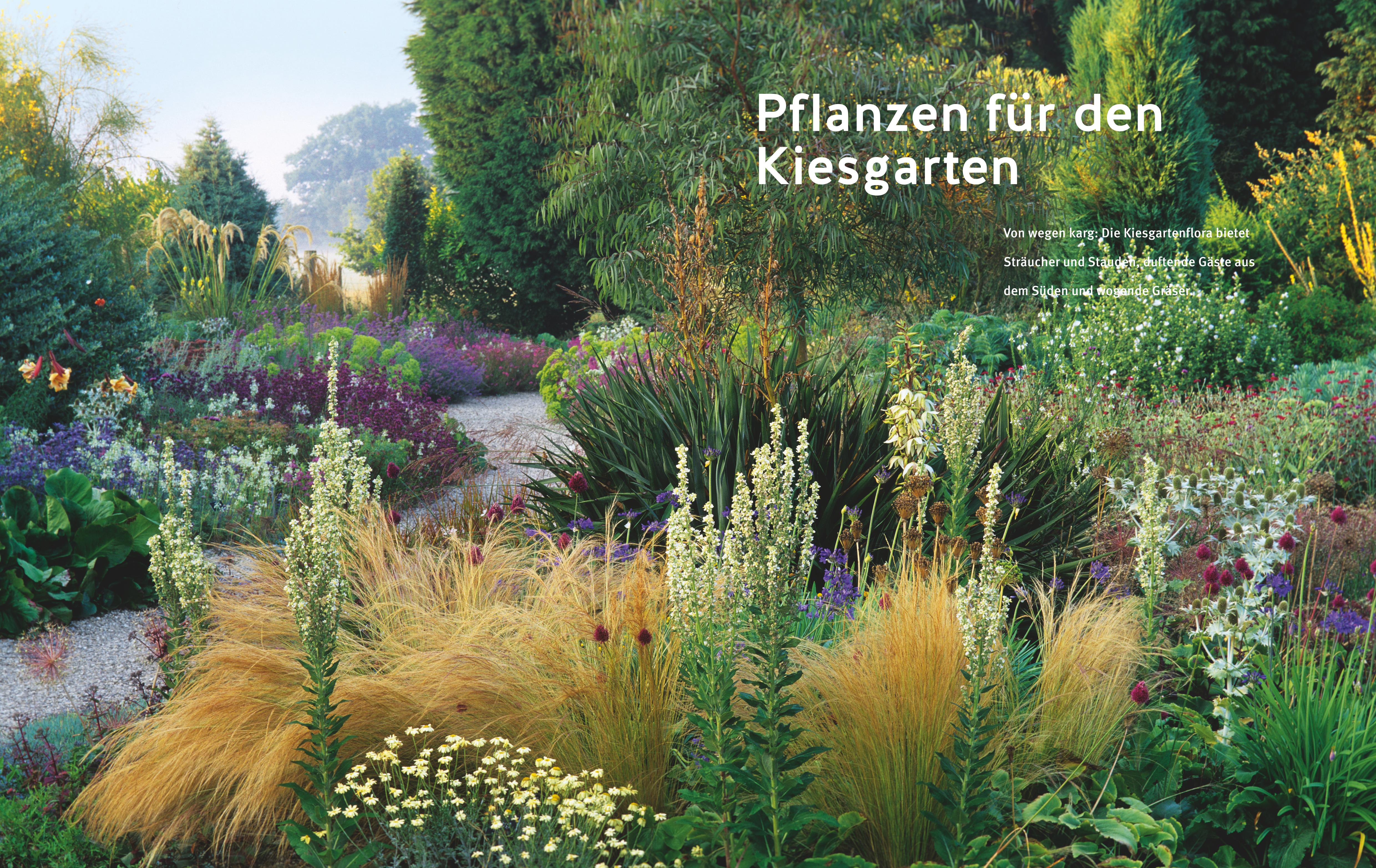 9783833890482_innenansicht_05.jpg