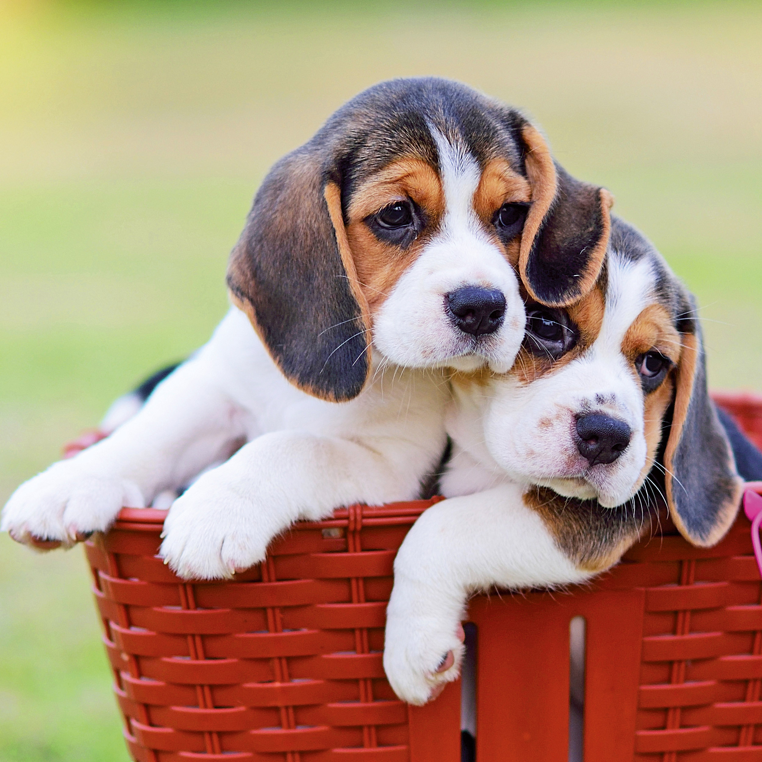 9783959295888_innenansicht_08 9783959295888_innenansicht_08.jpg