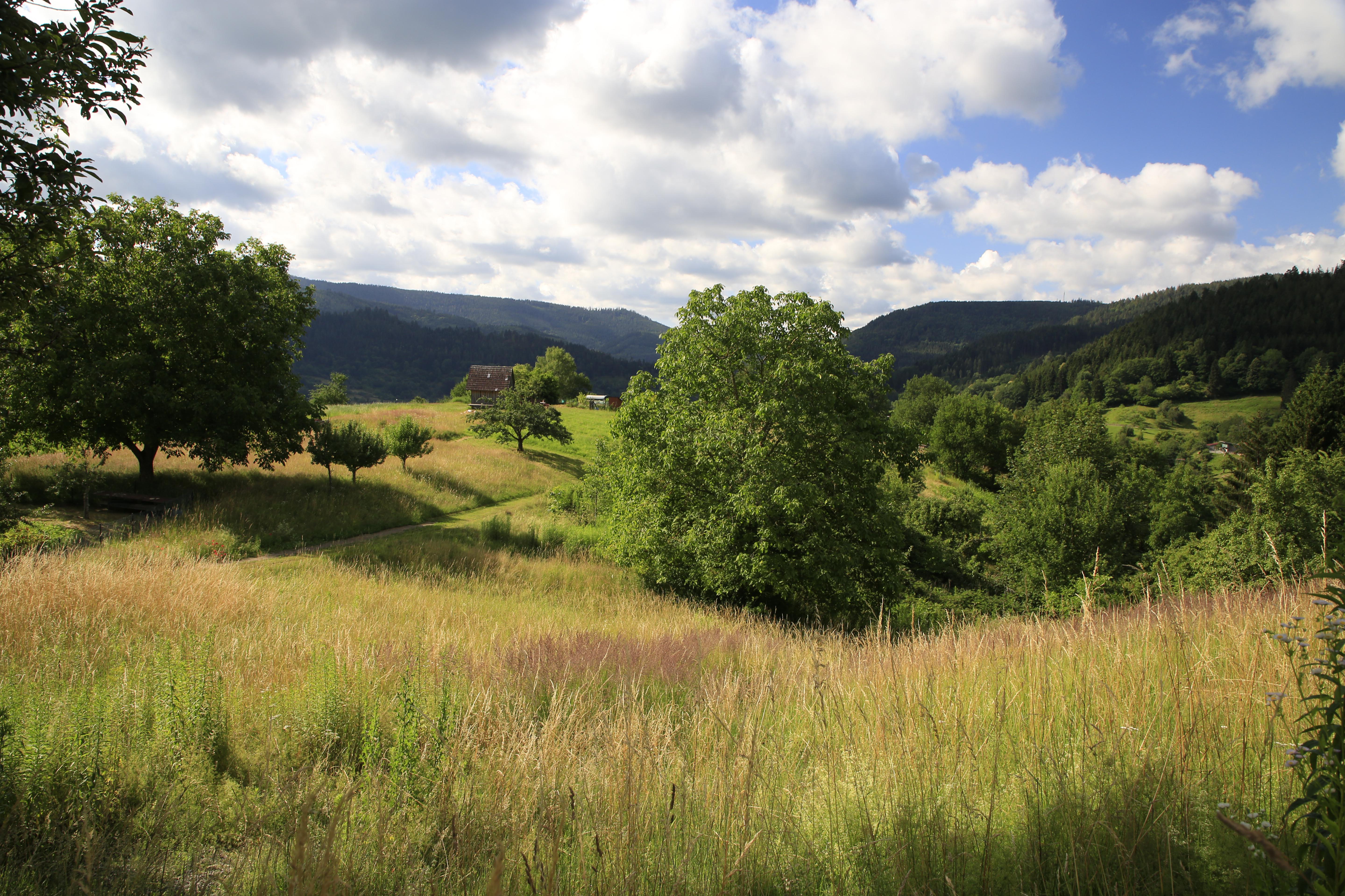 9783862468805_innenansicht_11 9783862468805_innenansicht_11.jpg