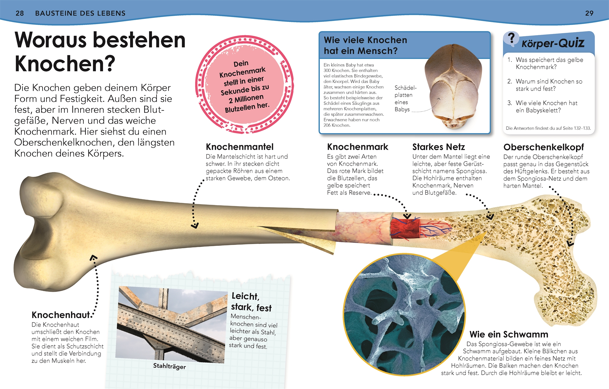 9783831042128_innenansicht_03.jpg