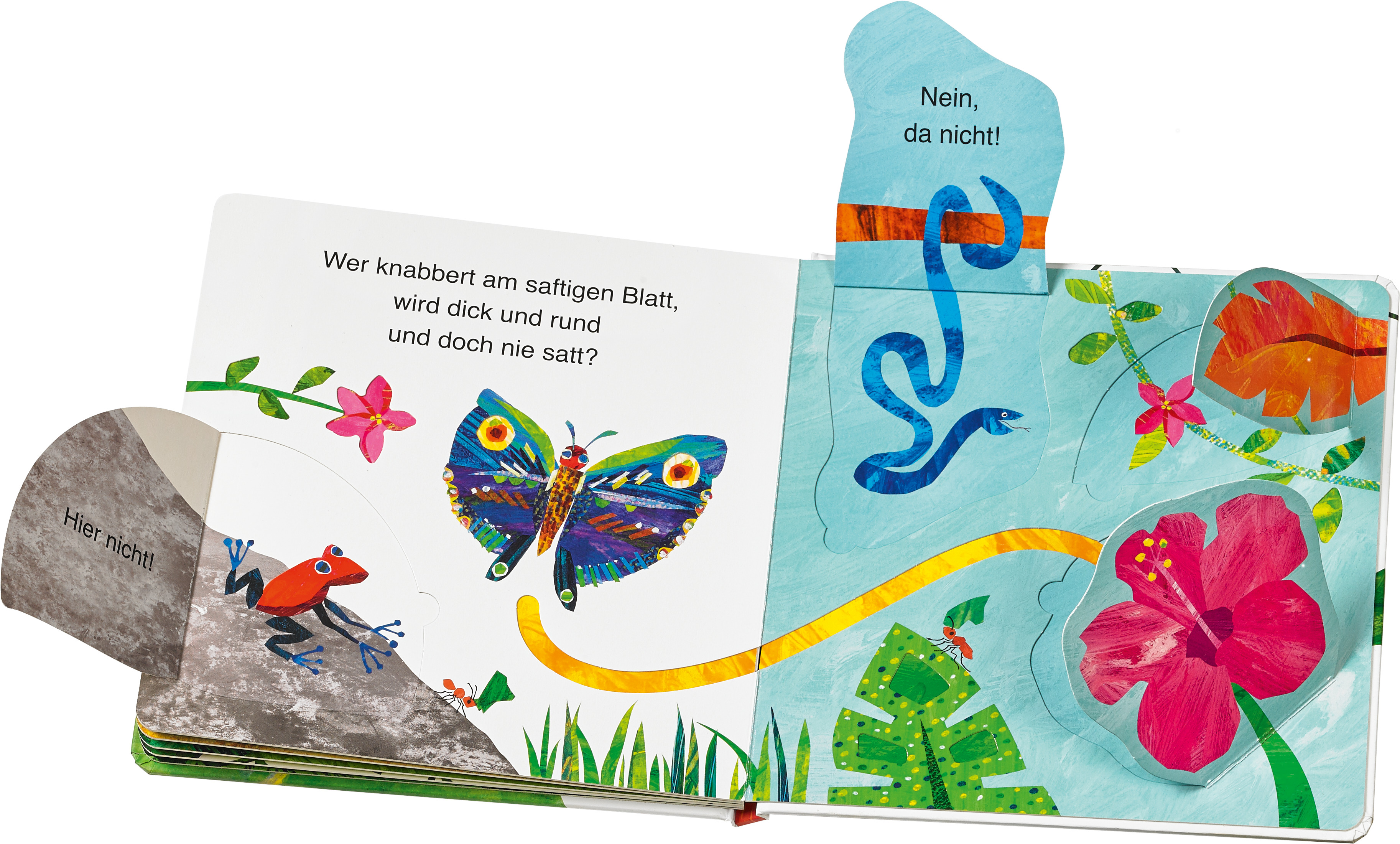9783836962551_innenansicht_01.jpg