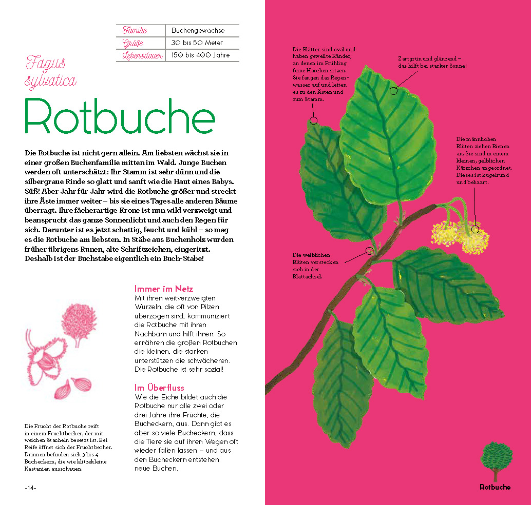 9783701183425_innenansicht_01 9783701183425_innenansicht_01.jpg