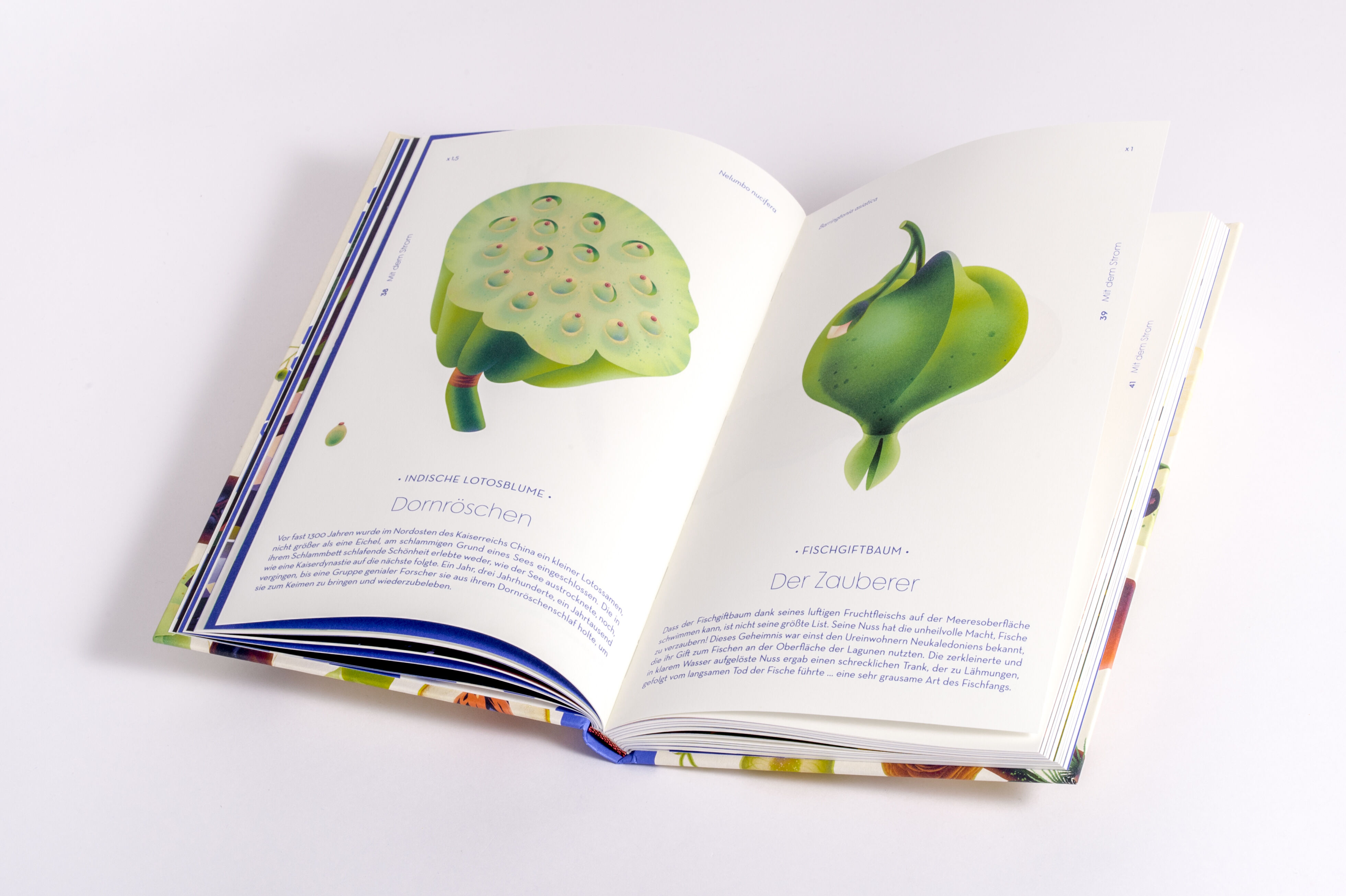 9783791376066_innenansicht_11 9783791376066_innenansicht_11.jpg